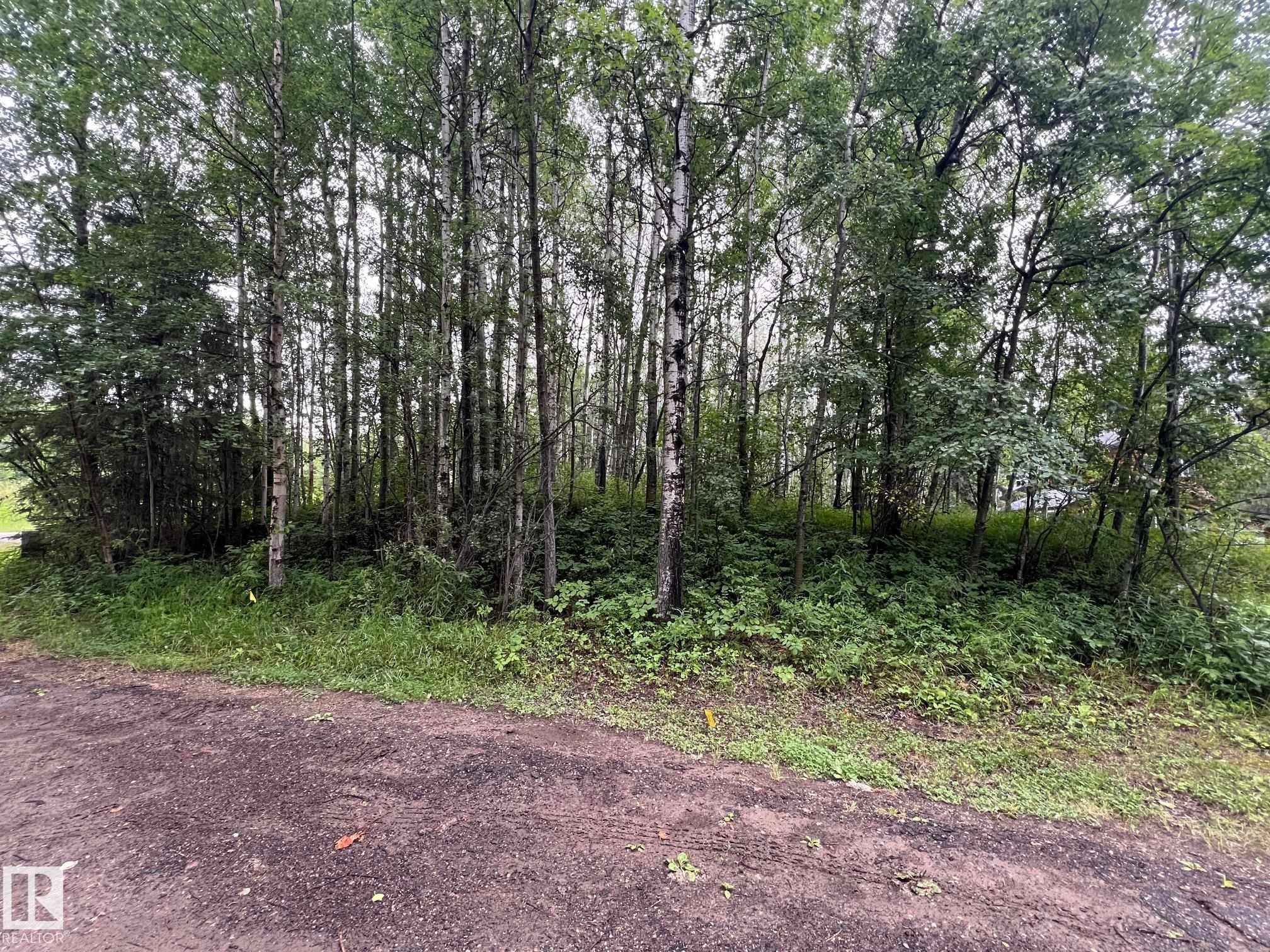 2130 2001 Twp Rd 474, Rural Leduc County, AB