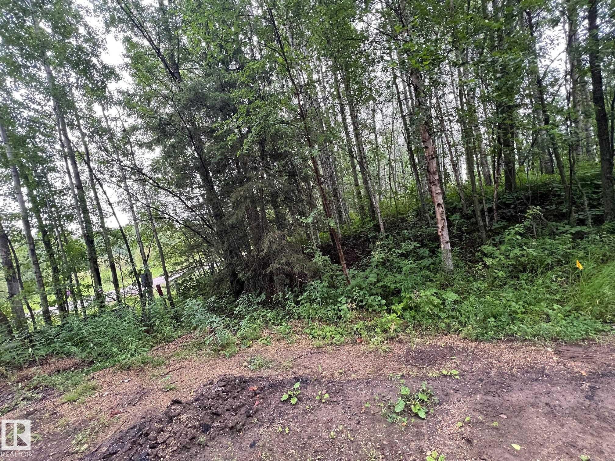 2130 2001 Twp Rd 474, Rural Leduc County, AB