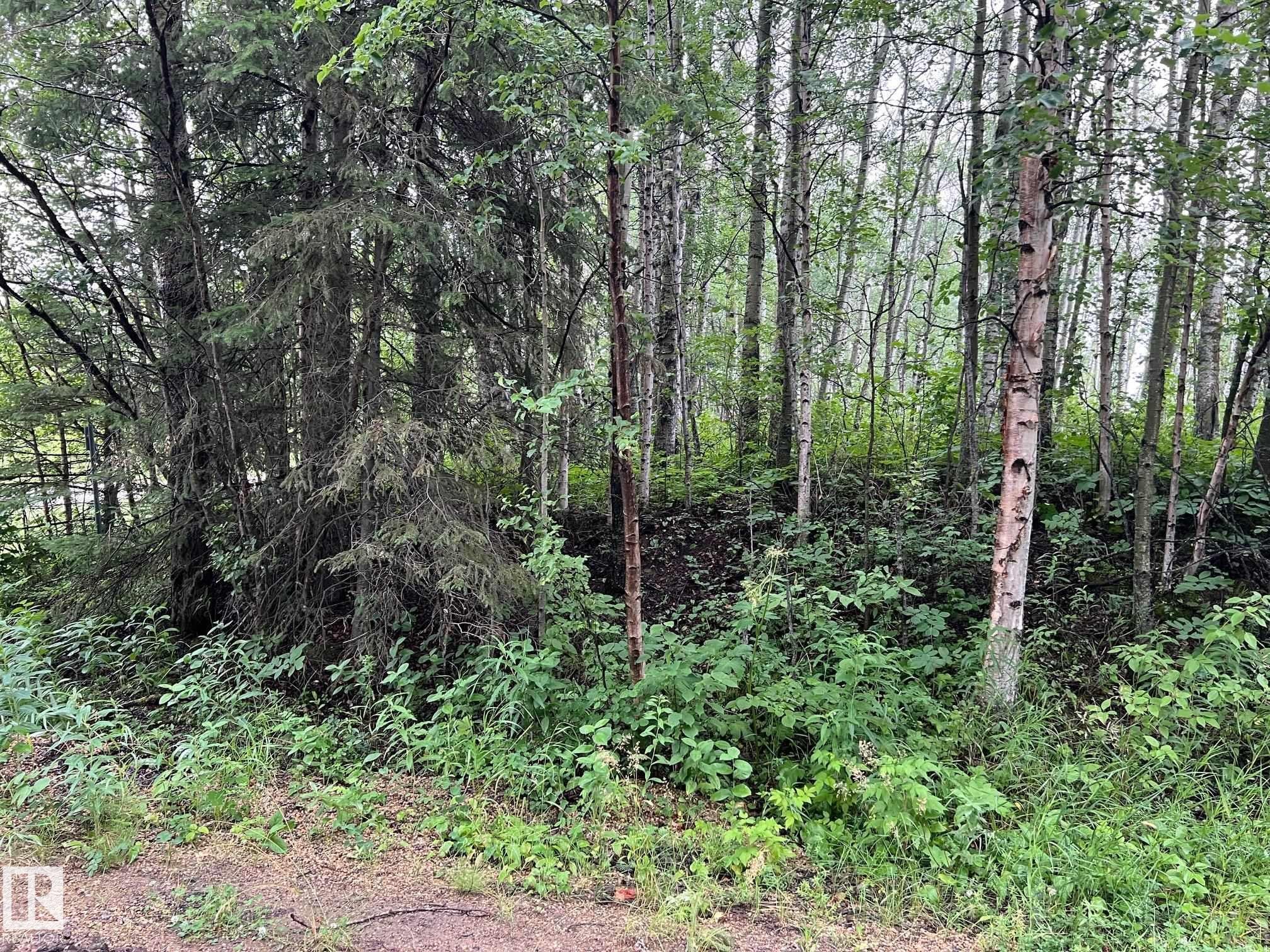 2130 2001 Twp Rd 474, Rural Leduc County, AB