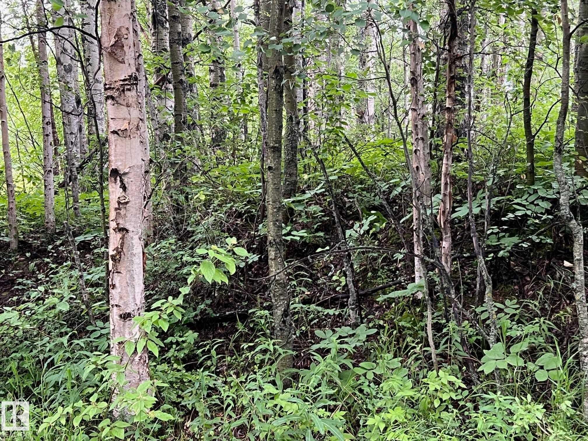 2130 2001 Twp Rd 474, Rural Leduc County, AB