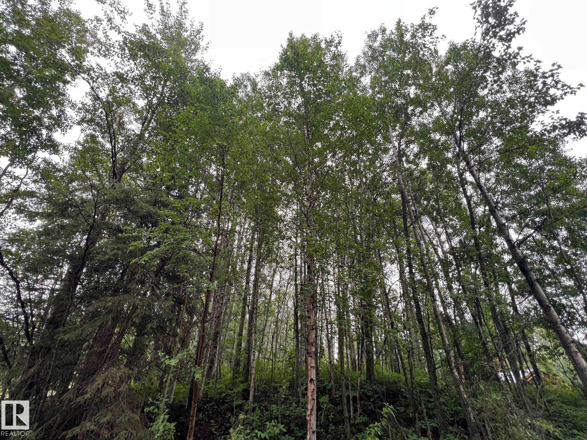 2130 2001 Twp Rd 474, Rural Leduc County, AB