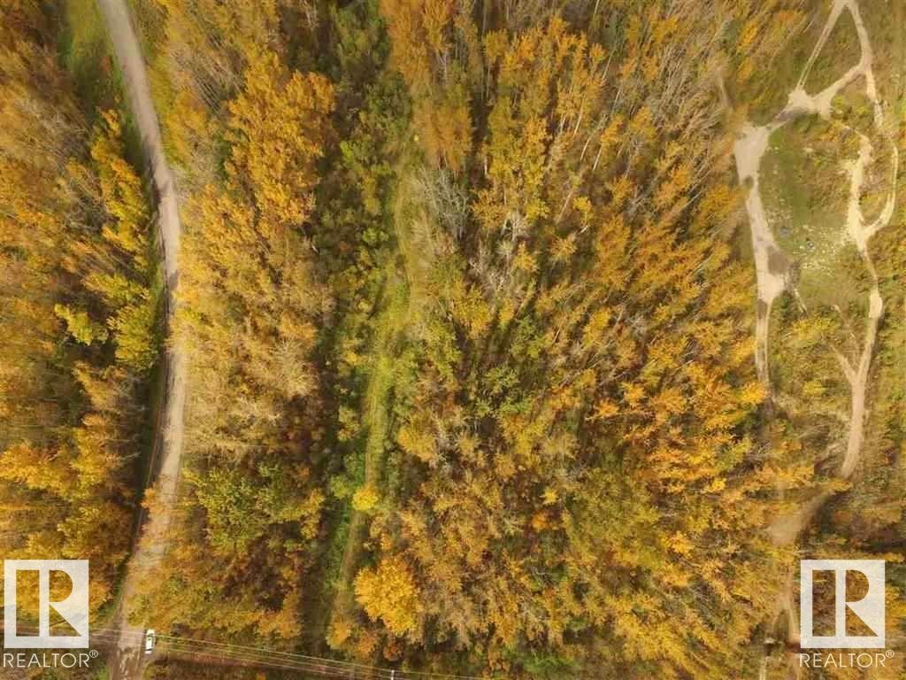 503 199 Street, Edmonton, AB