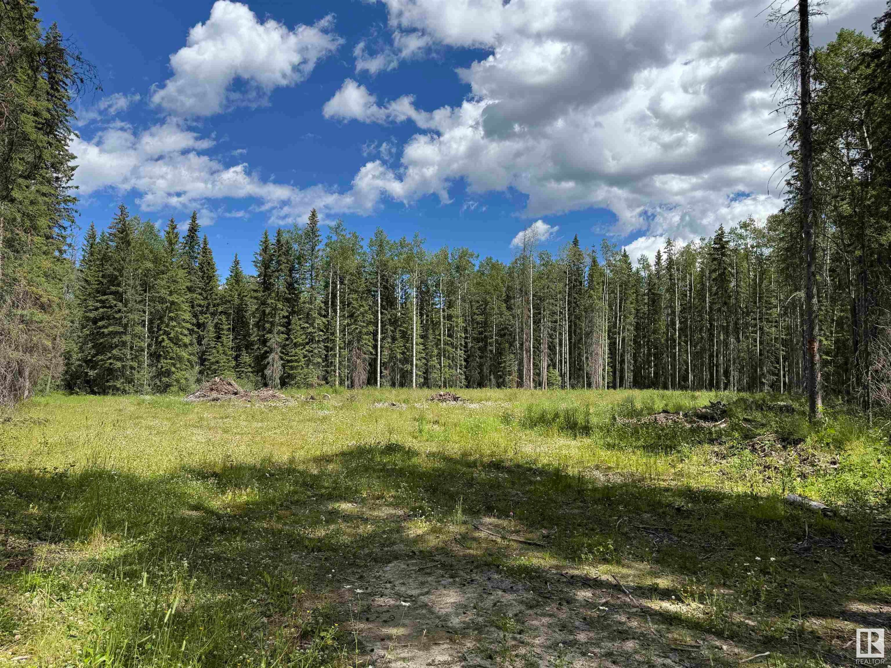 Rr171 North Of Hwy 748, Rural Yellowhead, AB