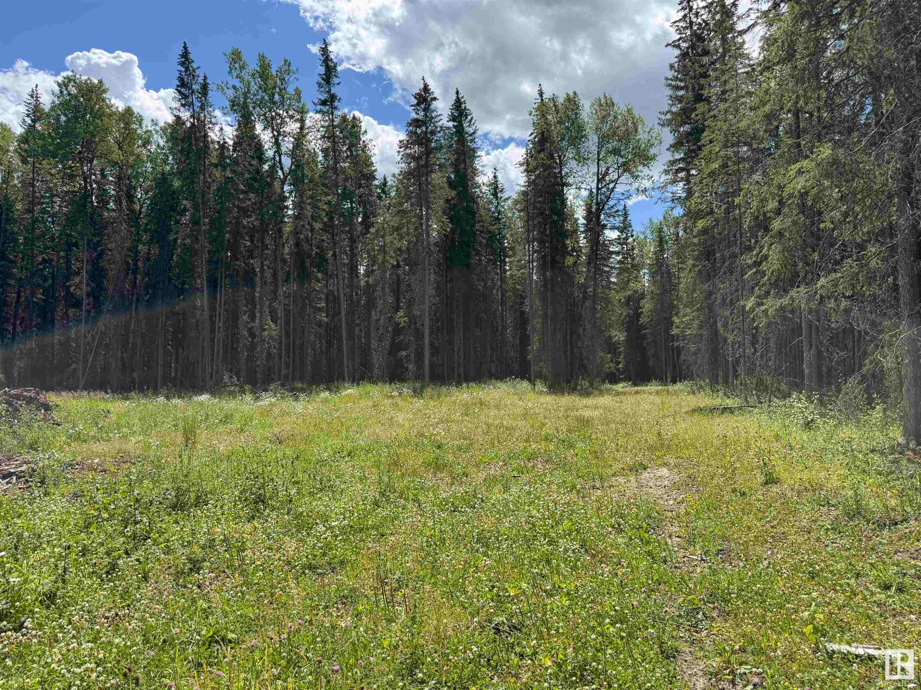 Rr171 North Of Hwy 748, Rural Yellowhead, AB