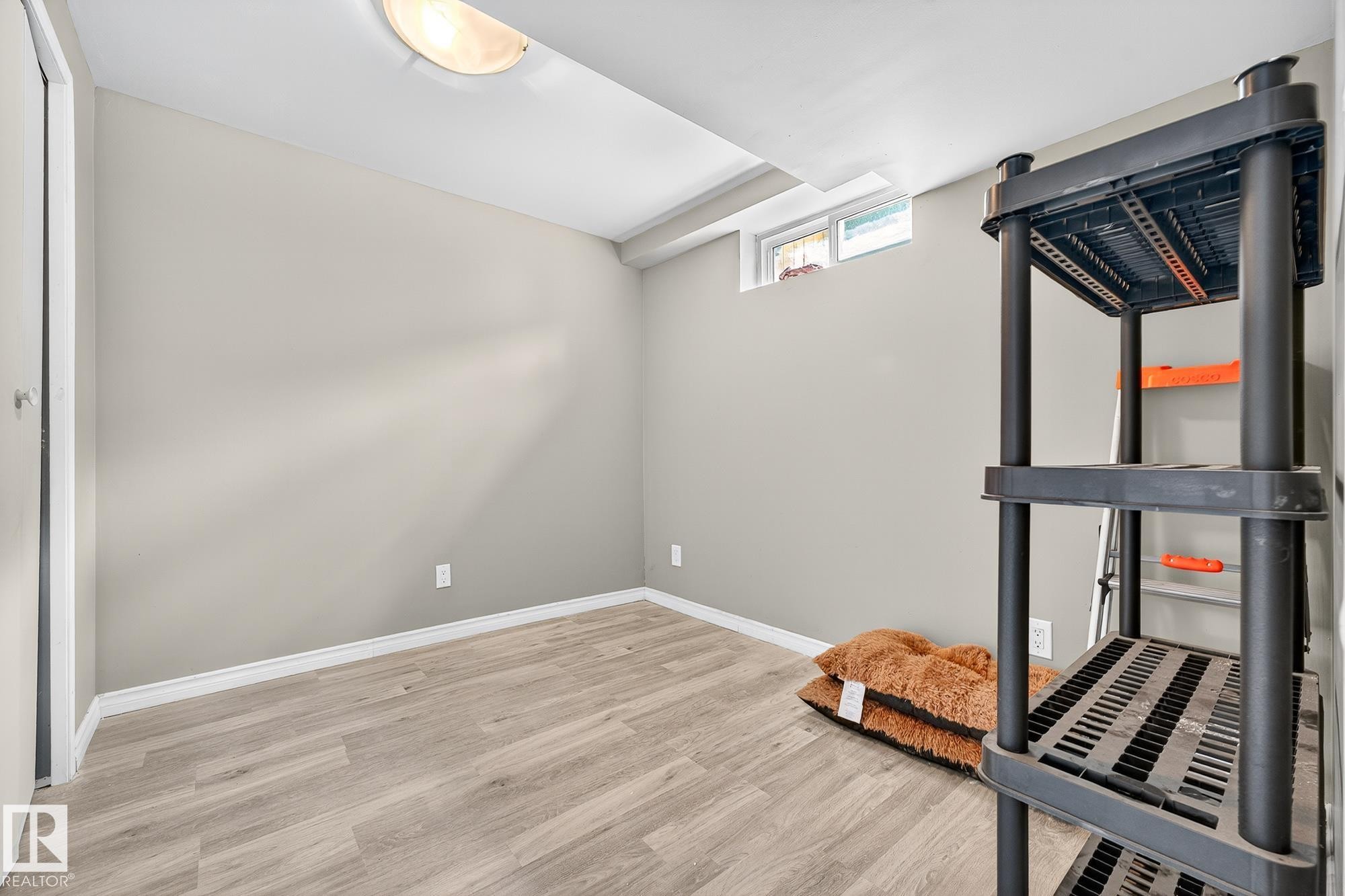 11005 162A Avenue, Edmonton, AB - Indoor Photo Showing Basement