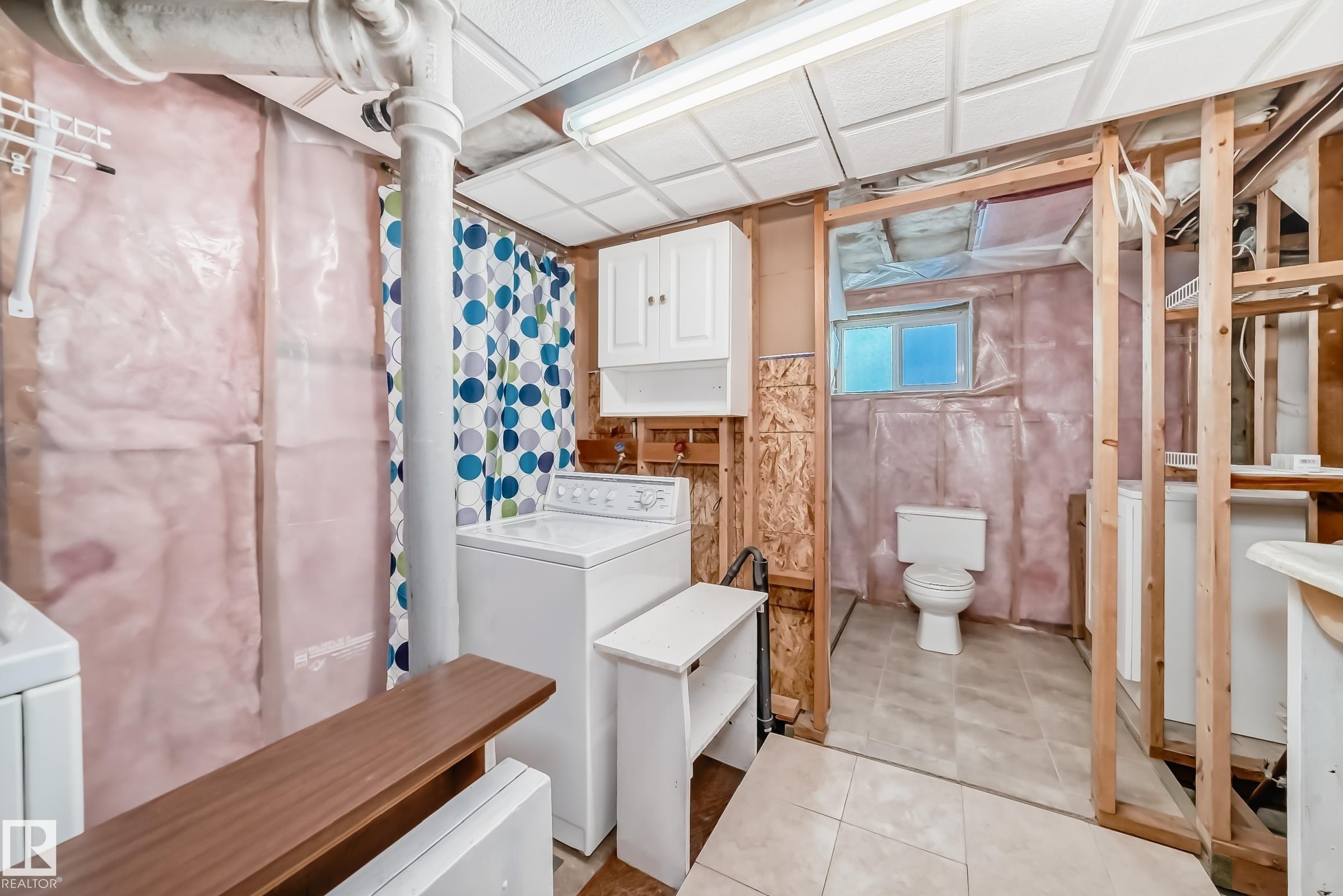 11233 95 Street, Edmonton, AB - Indoor Photo Showing Laundry Room