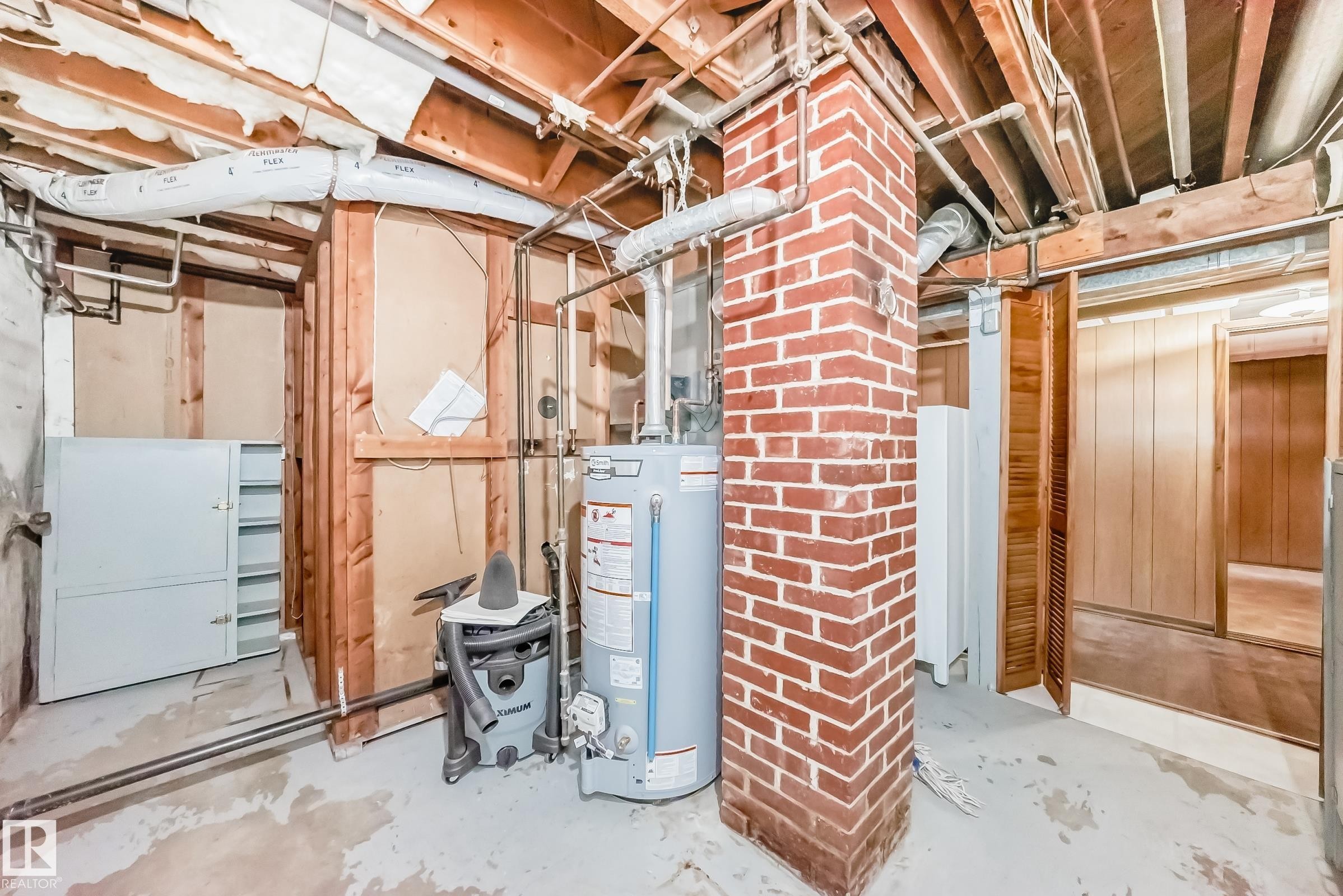 11233 95 Street, Edmonton, AB - Indoor Photo Showing Basement