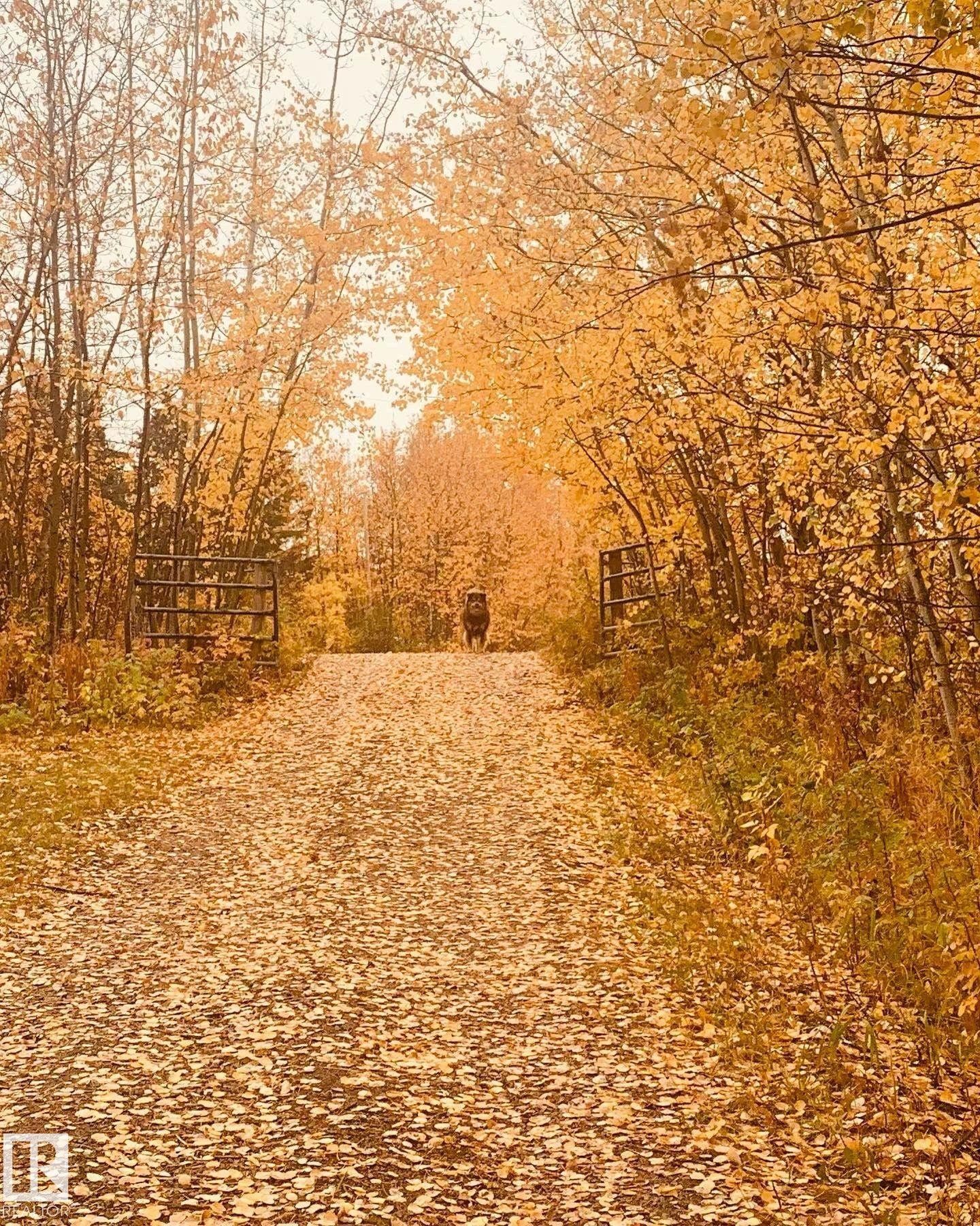 544 12002 Twp Rd 605A, Rural St. Paul County, AB