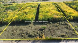 on Twp Rd 505 Rural Brazeau County, AB T7A 1S4