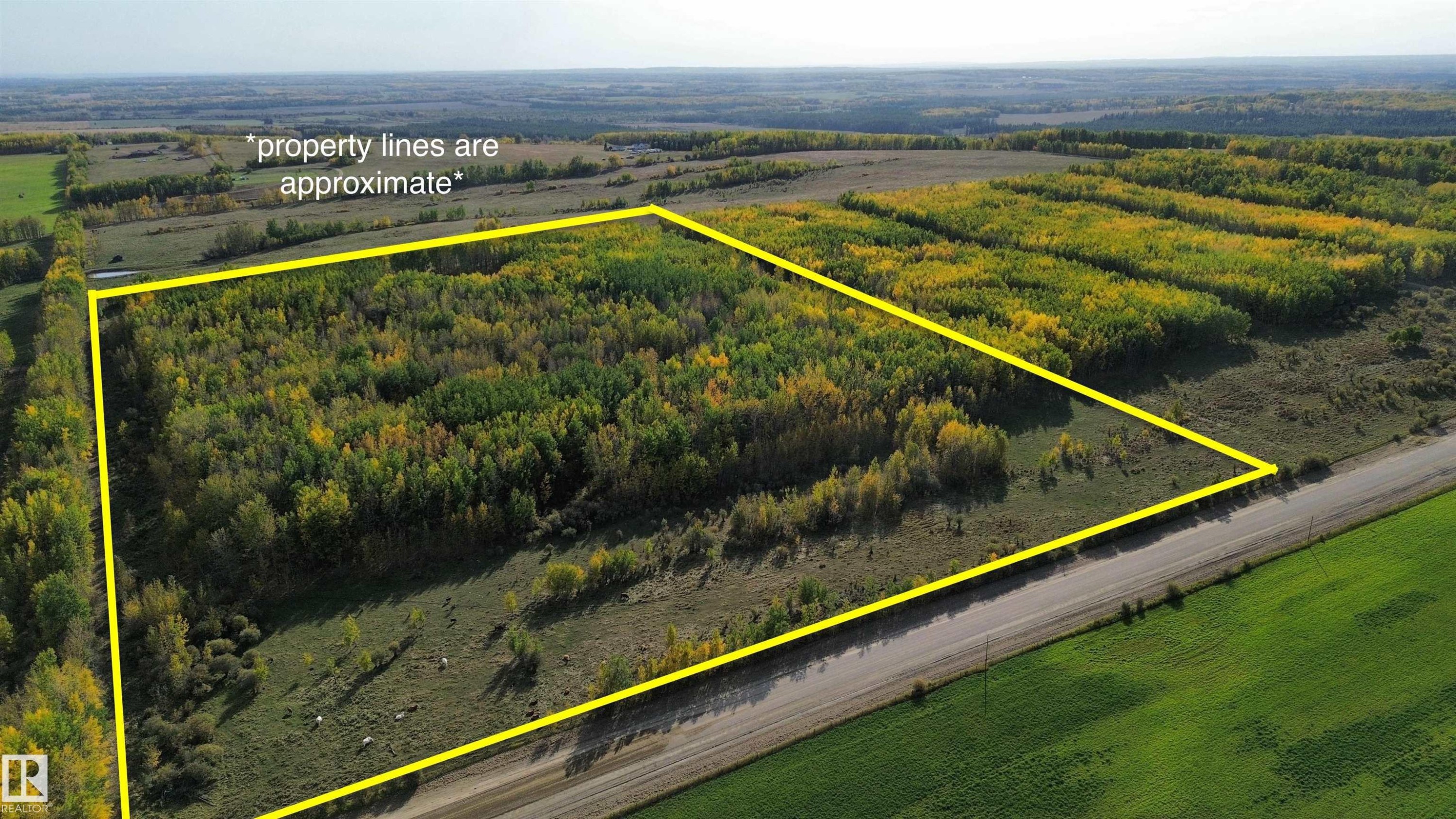 On Twp Rd 505, Rural Brazeau County, AB