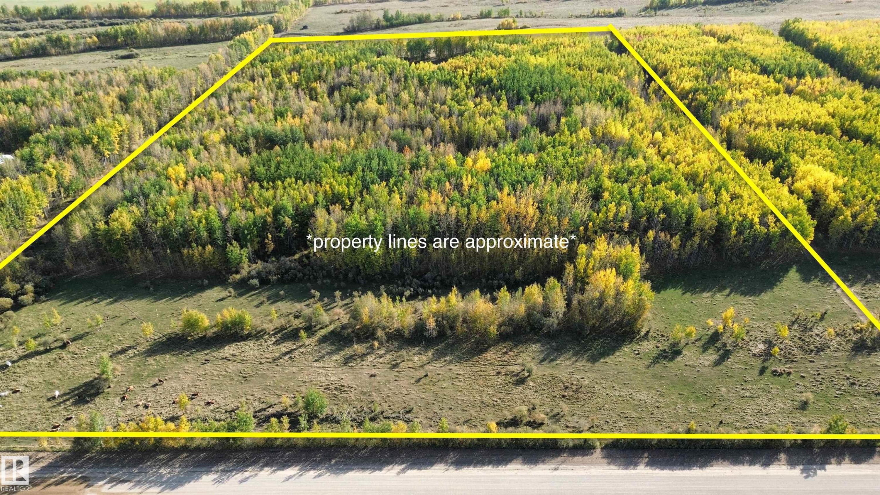 On Twp Rd 505, Rural Brazeau County, AB