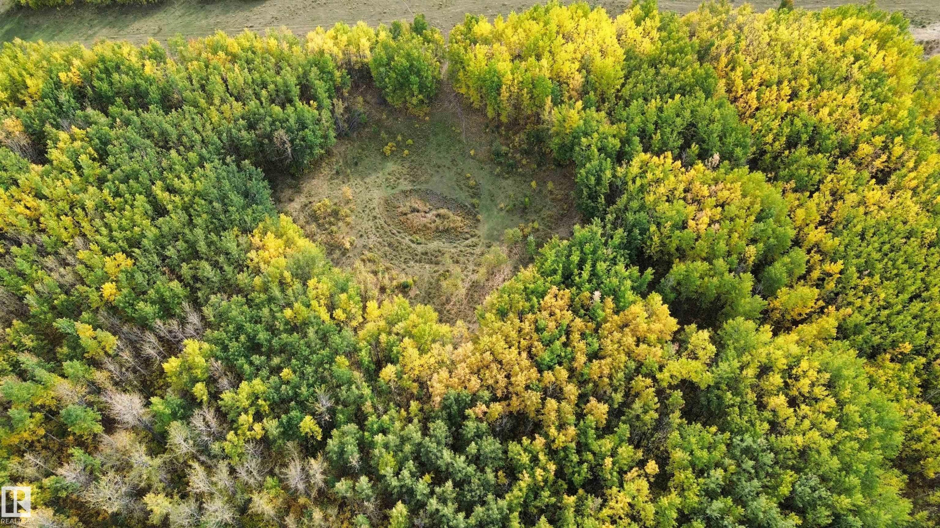On Twp Rd 505, Rural Brazeau County, AB