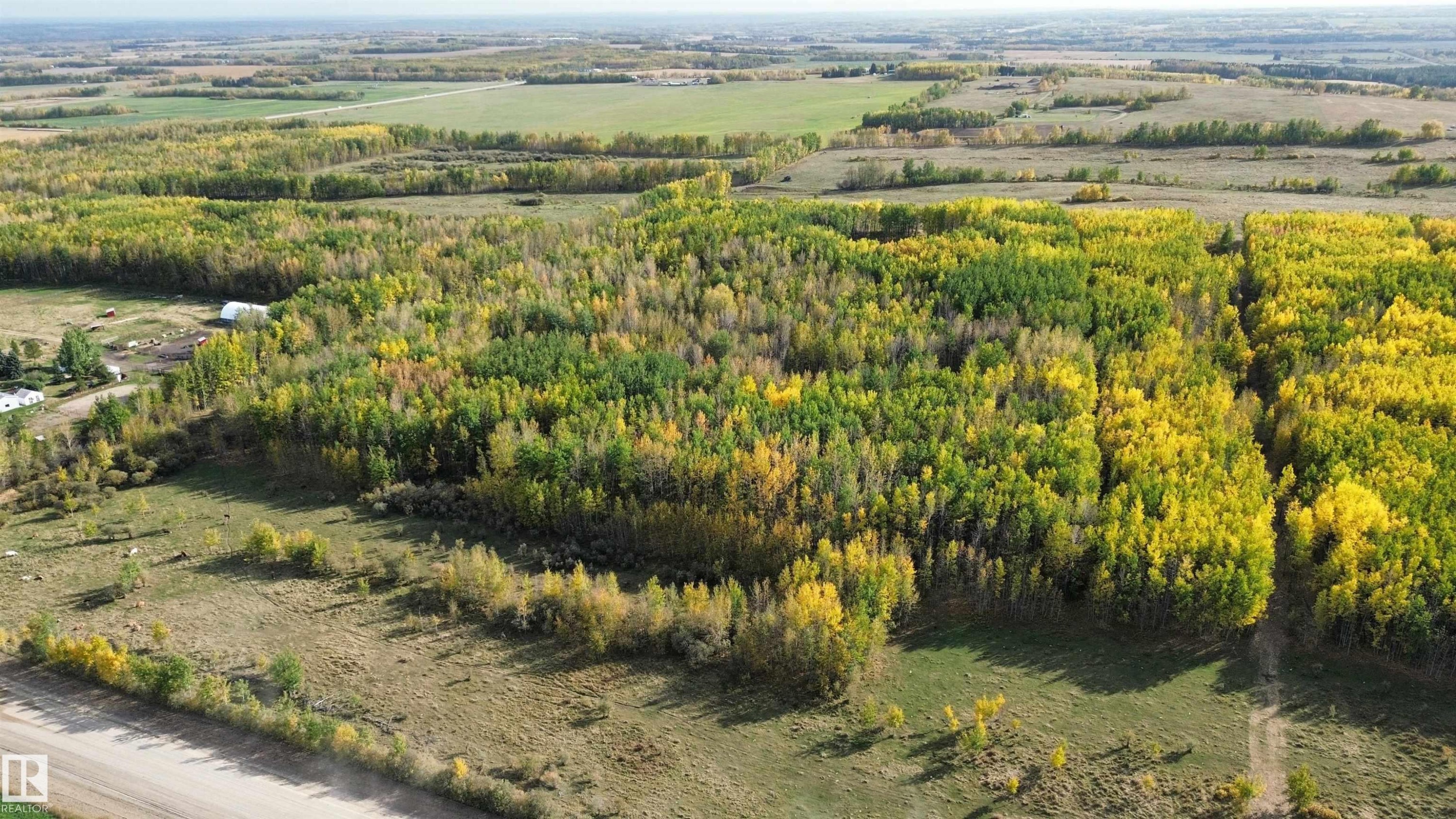 On Twp Rd 505, Rural Brazeau County, AB