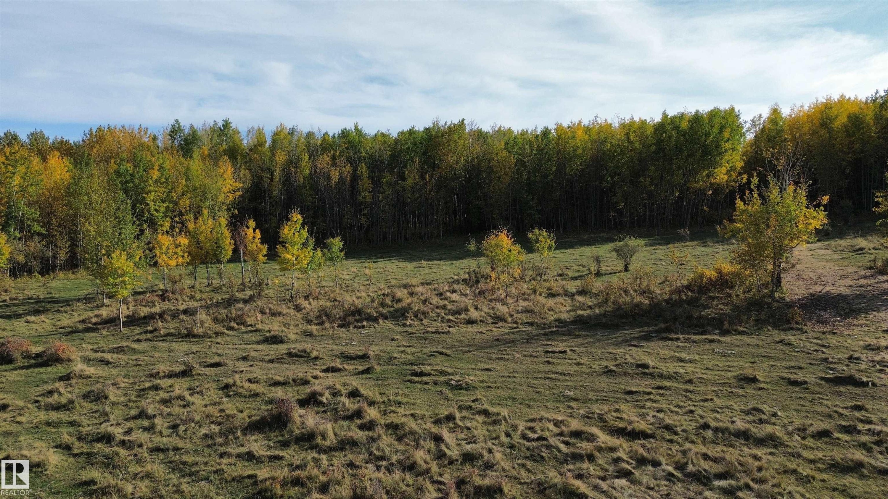 On Twp Rd 505, Rural Brazeau County, AB