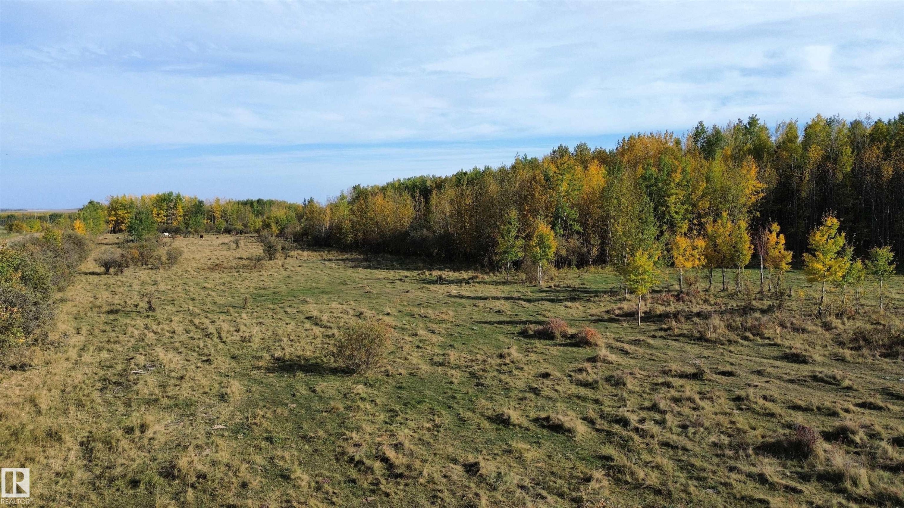 On Twp Rd 505, Rural Brazeau County, AB