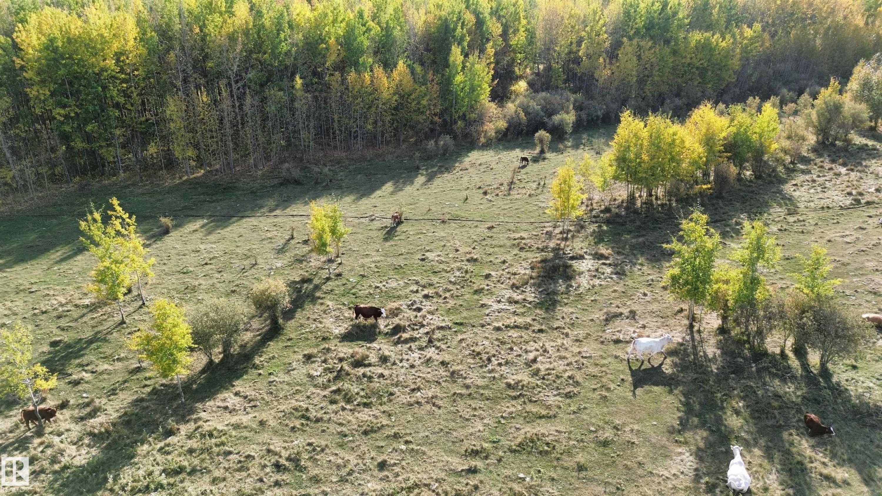 On Twp Rd 505, Rural Brazeau County, AB