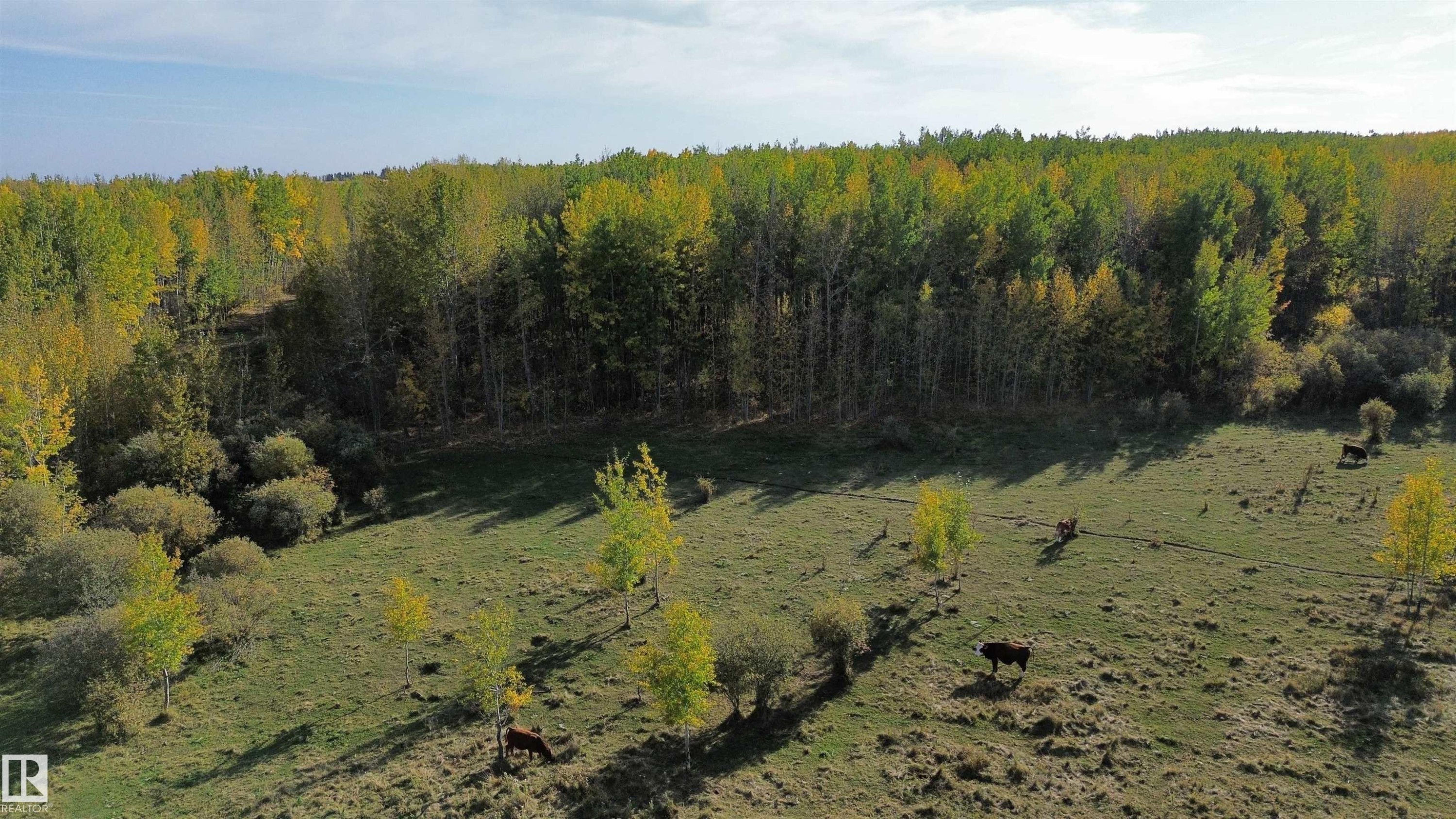 On Twp Rd 505, Rural Brazeau County, AB