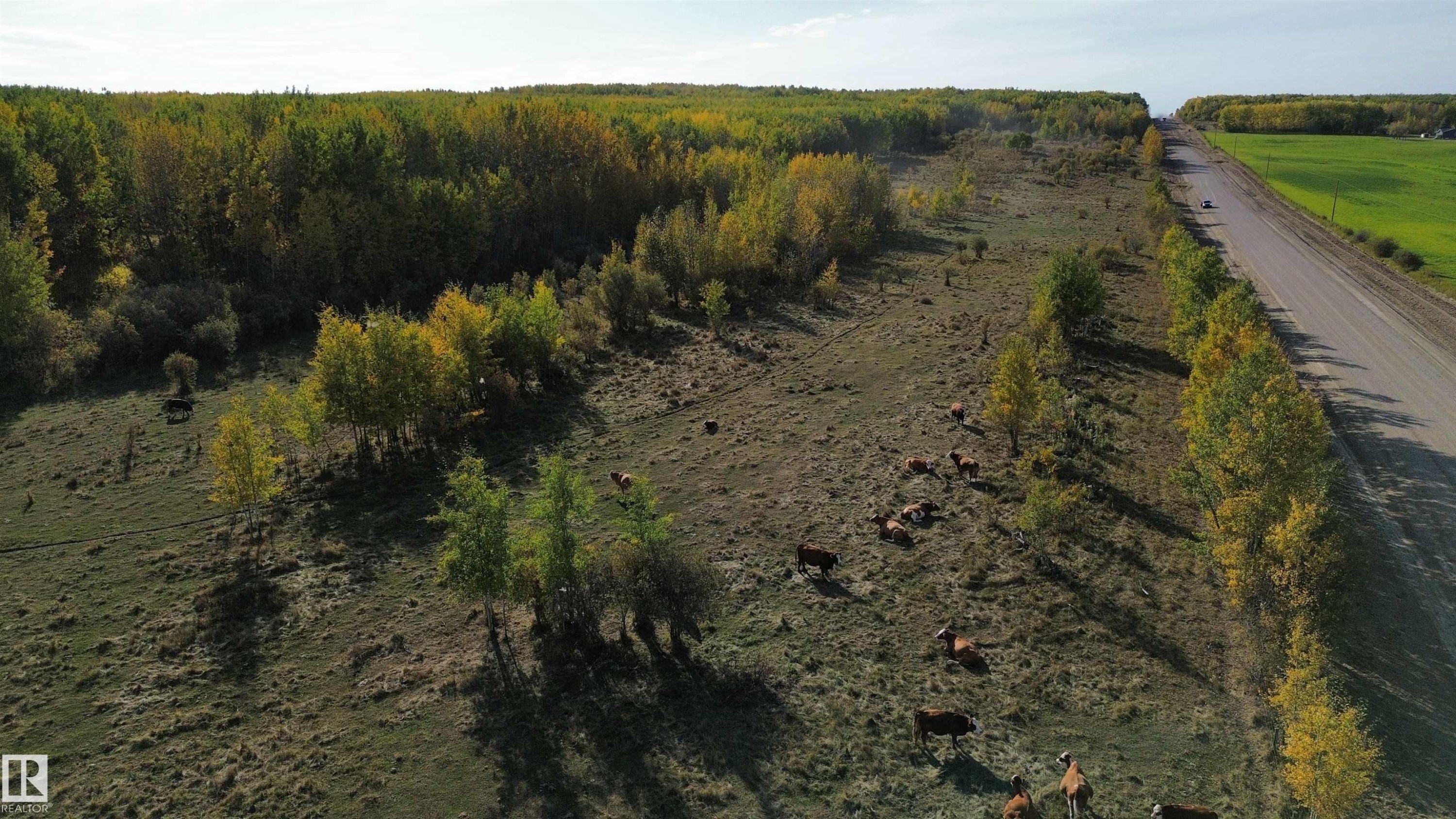 On Twp Rd 505, Rural Brazeau County, AB
