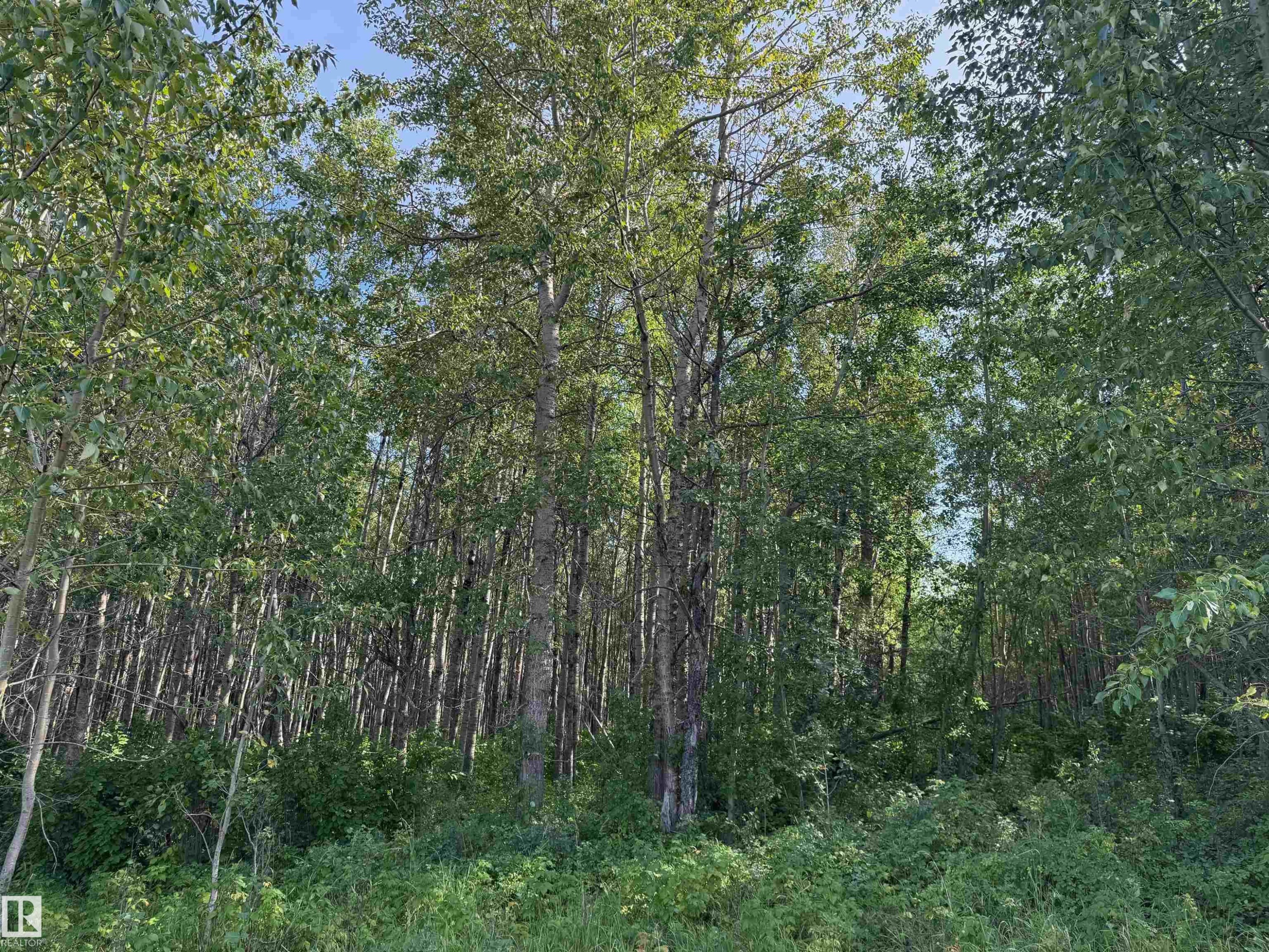 On Twp Rd 505, Rural Brazeau County, AB