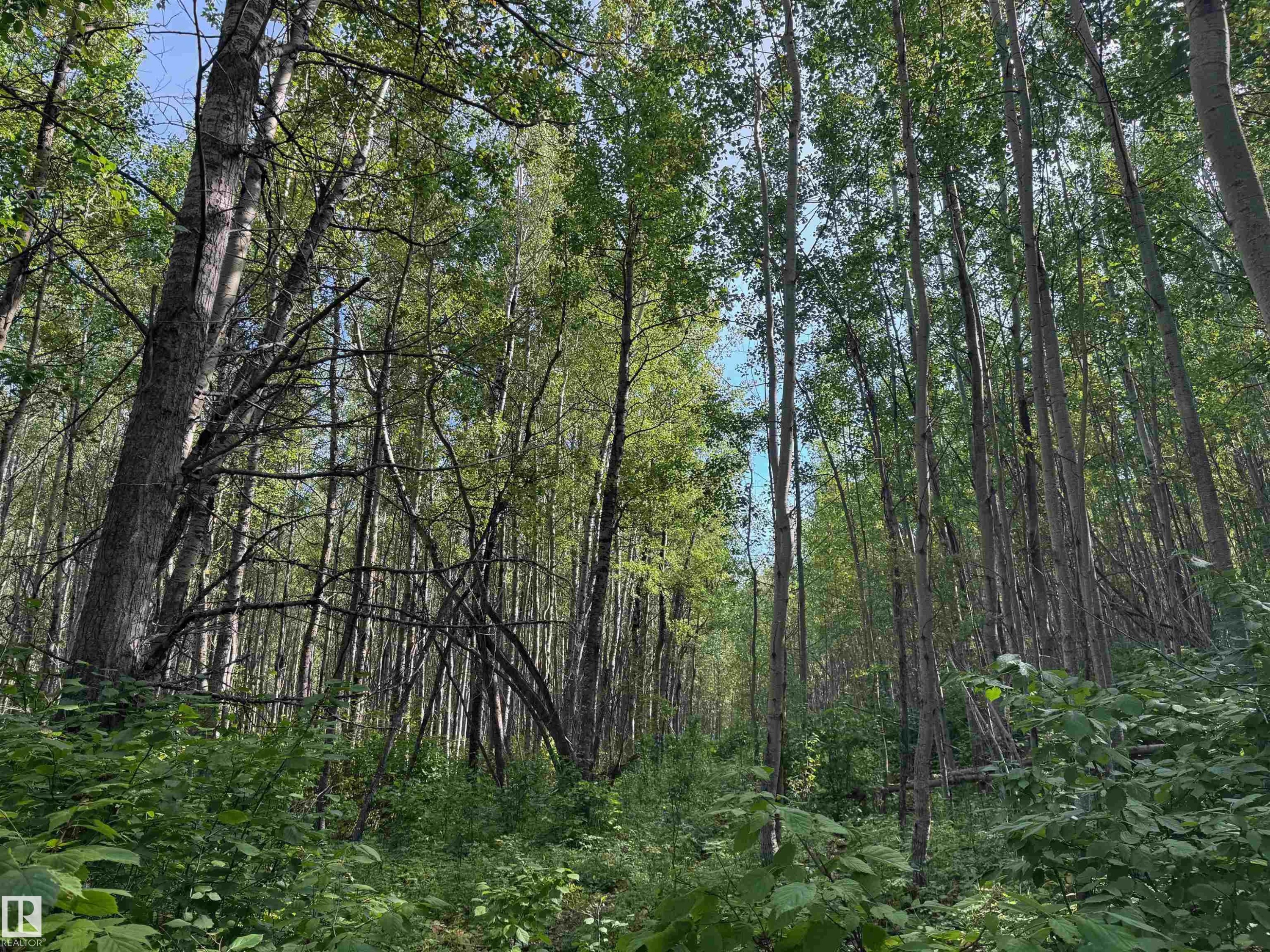 On Twp Rd 505, Rural Brazeau County, AB