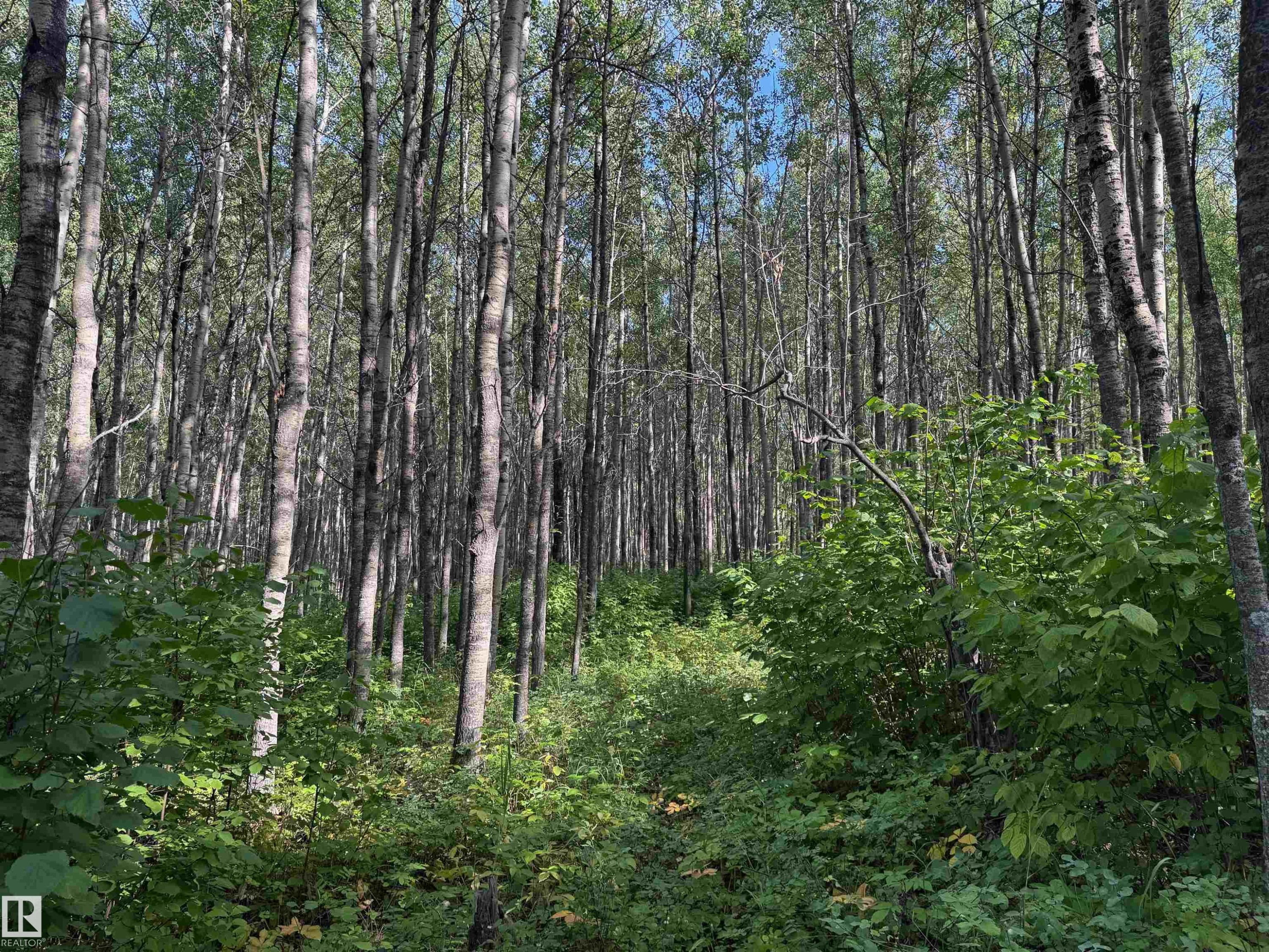 On Twp Rd 505, Rural Brazeau County, AB