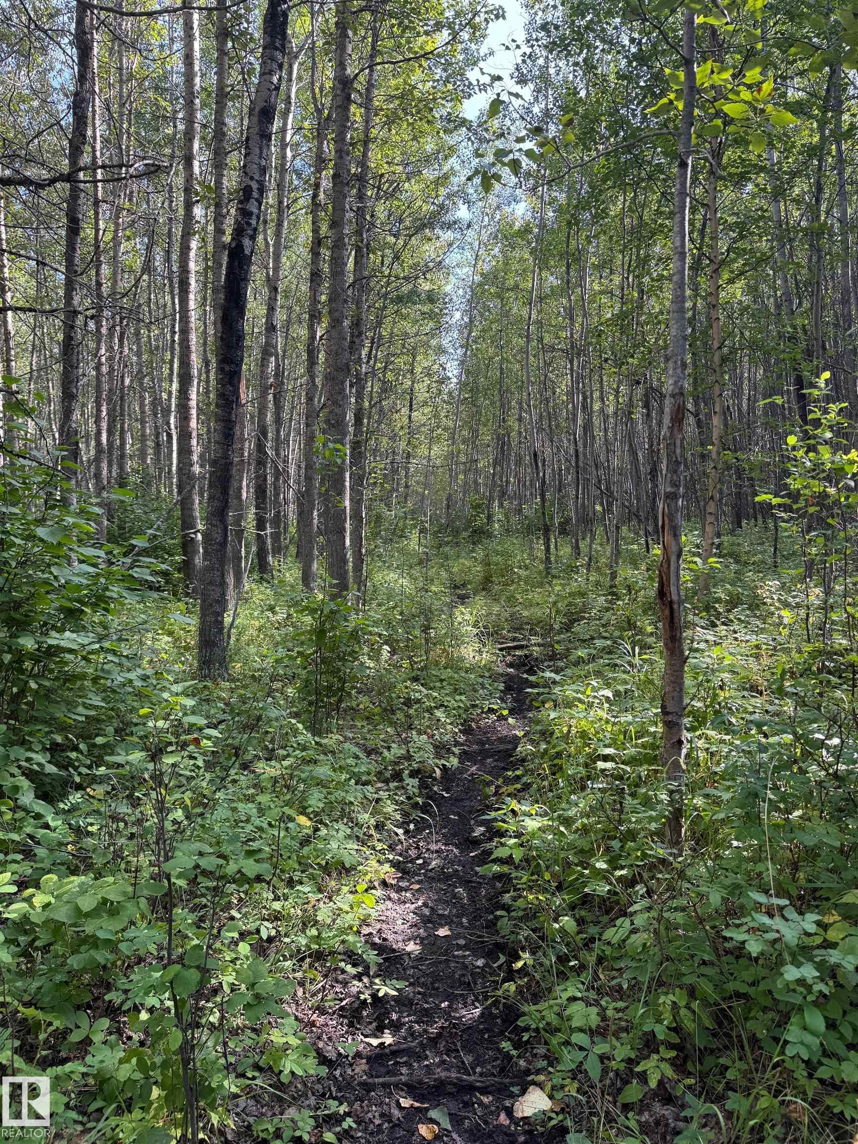 On Twp Rd 505, Rural Brazeau County, AB