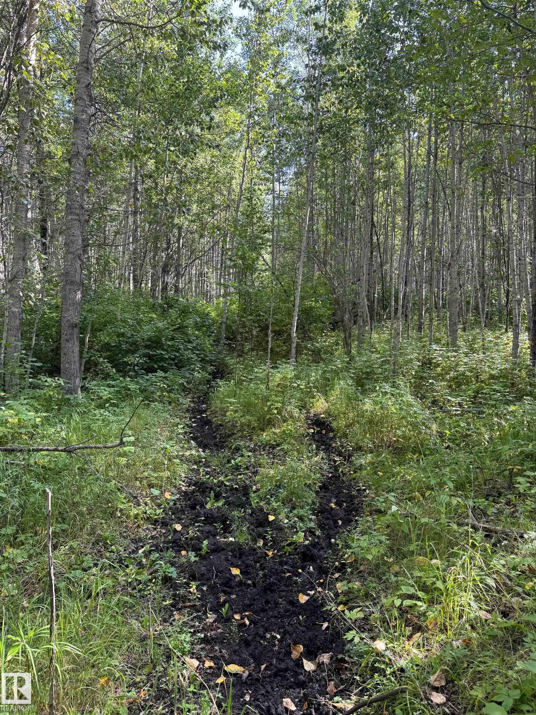 On Twp Rd 505, Rural Brazeau County, AB