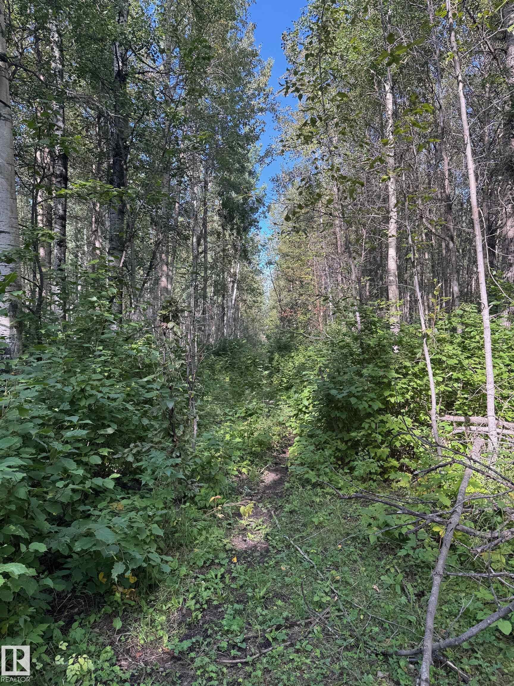 On Twp Rd 505, Rural Brazeau County, AB