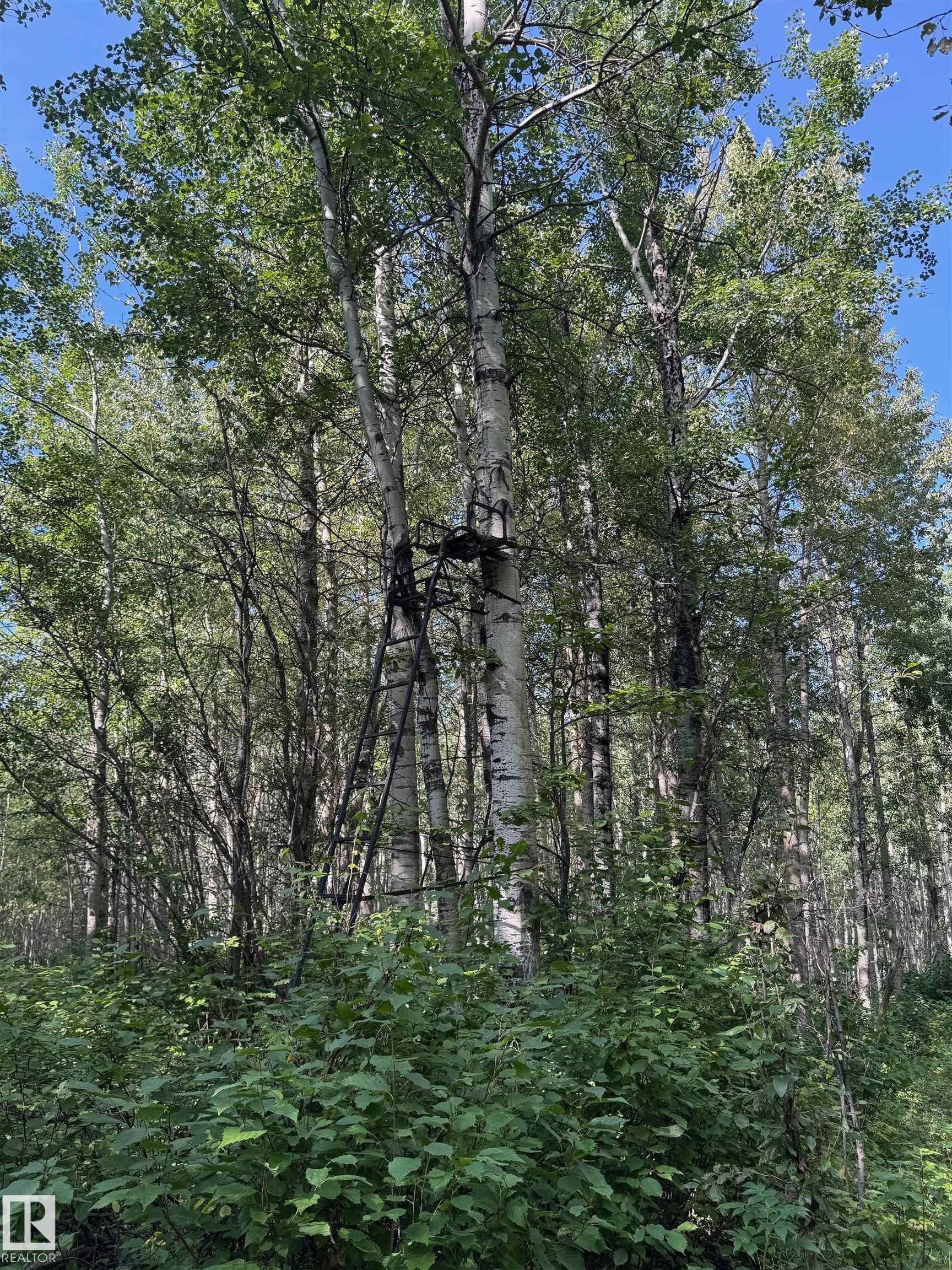 On Twp Rd 505, Rural Brazeau County, AB