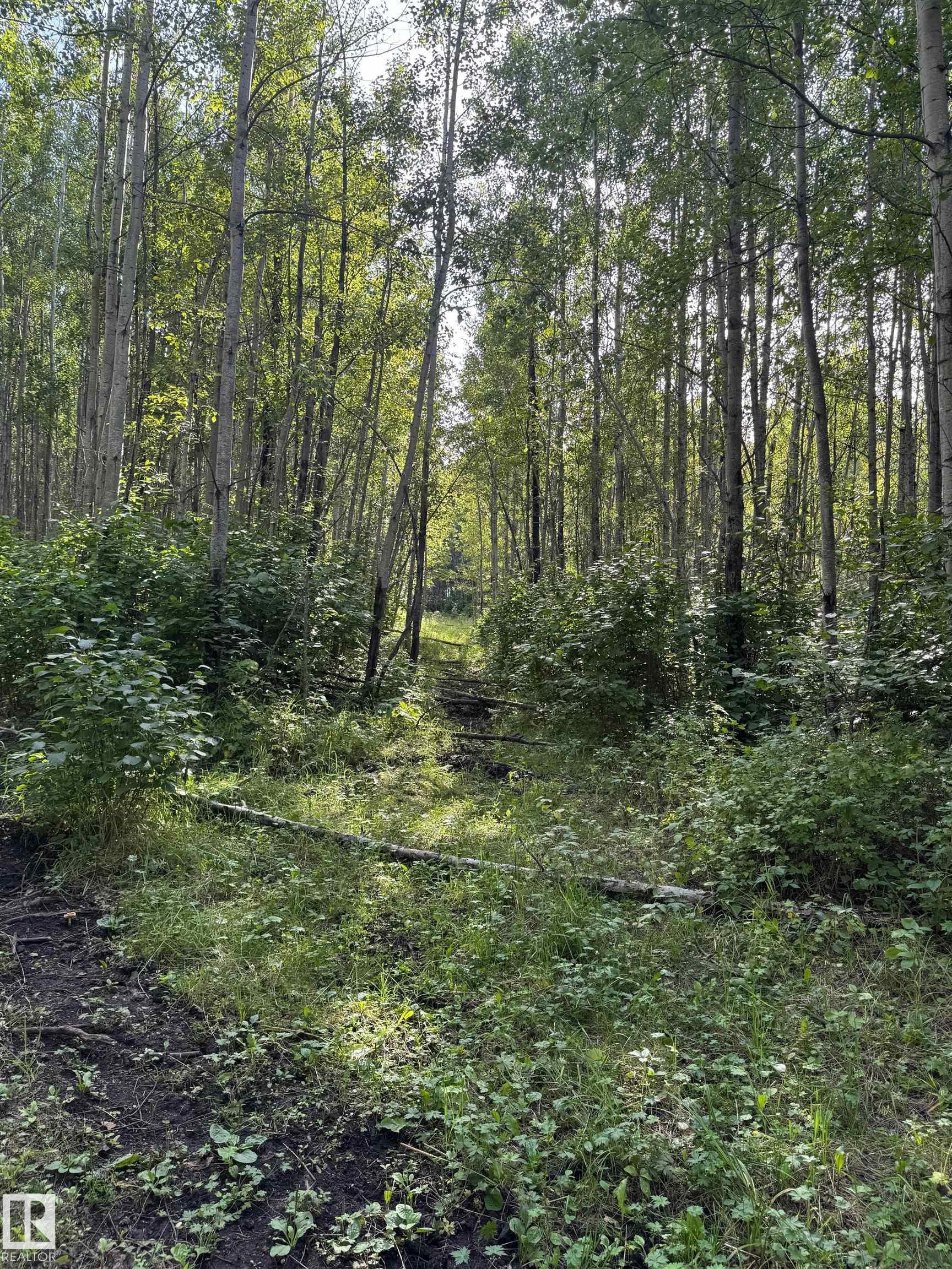 On Twp Rd 505, Rural Brazeau County, AB