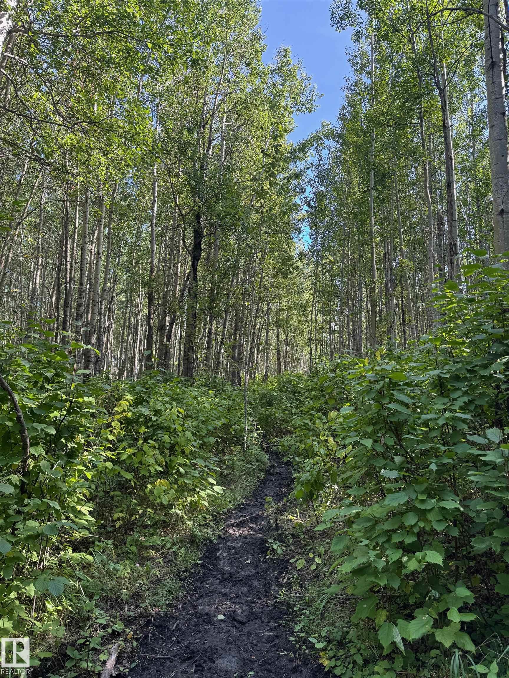 On Twp Rd 505, Rural Brazeau County, AB