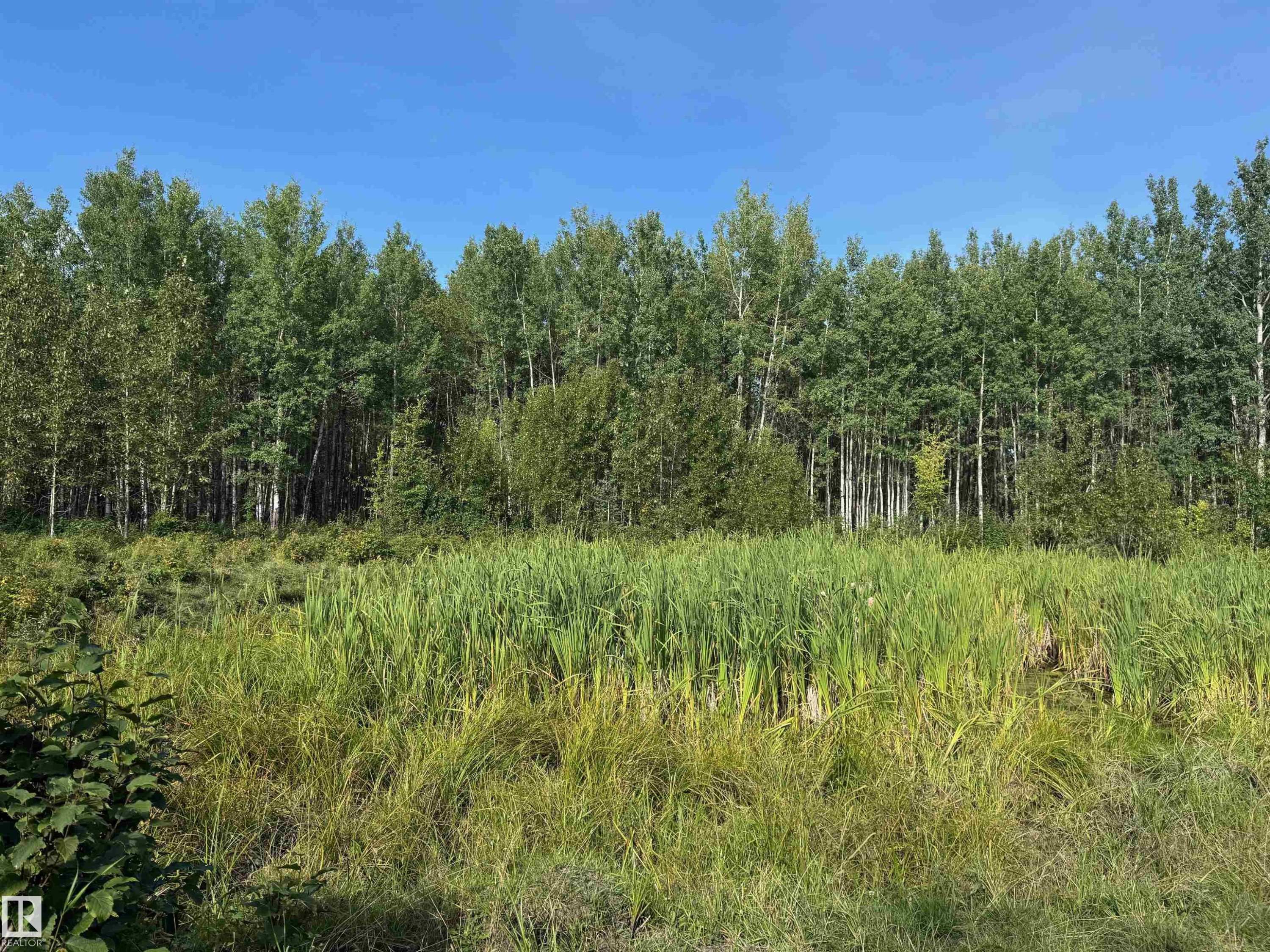 On Twp Rd 505, Rural Brazeau County, AB