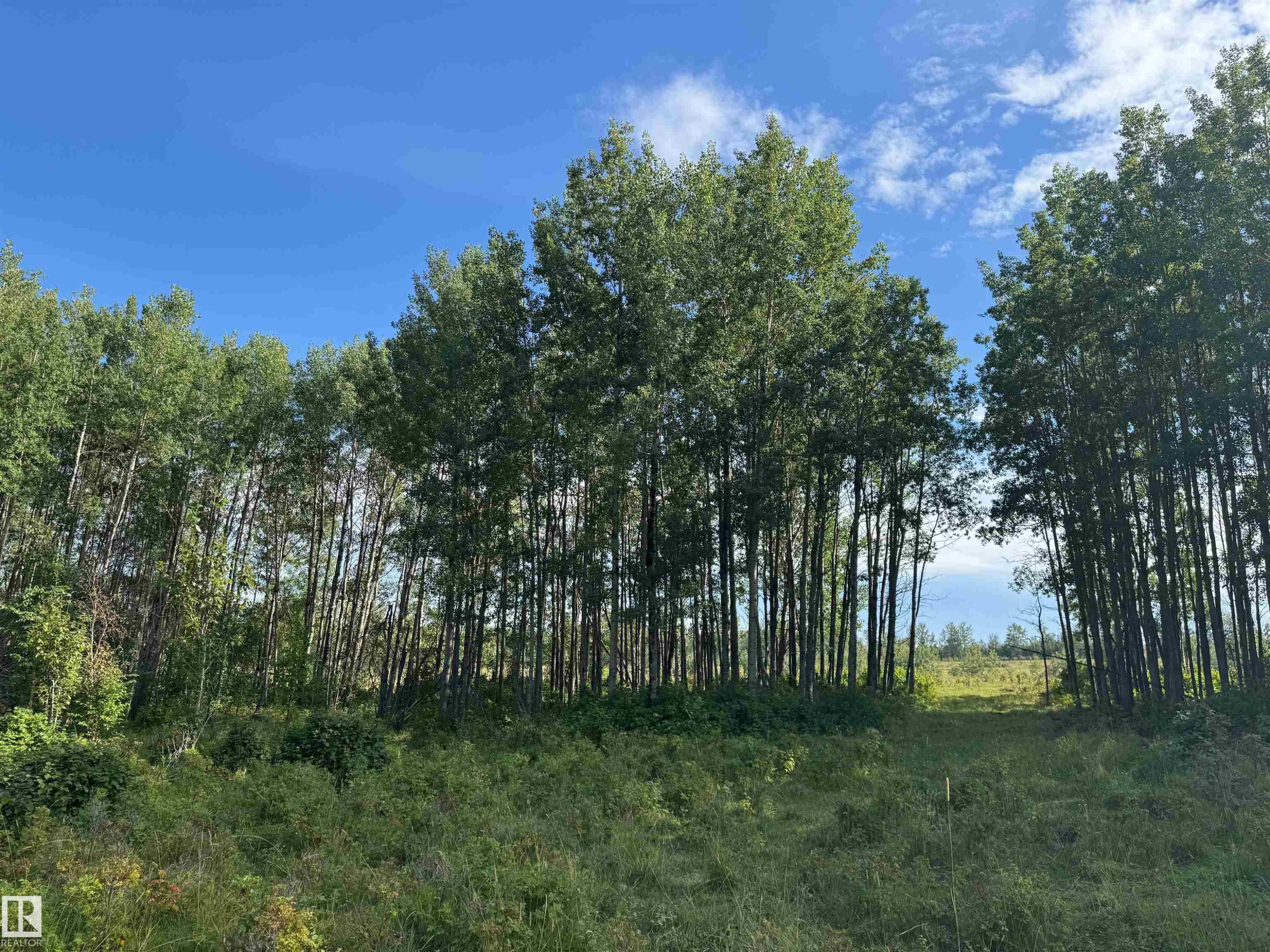 On Twp Rd 505, Rural Brazeau County, AB