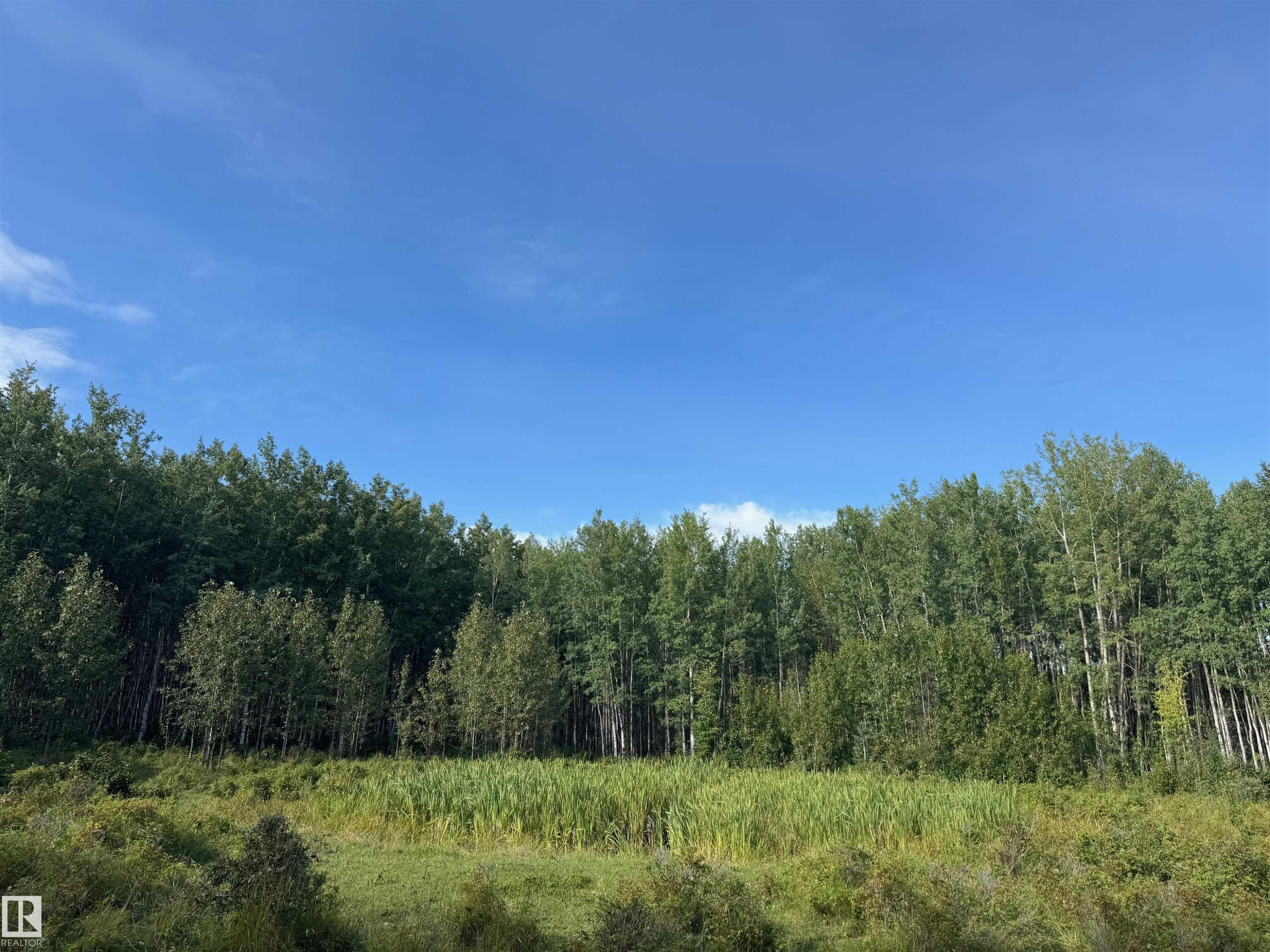 On Twp Rd 505, Rural Brazeau County, AB