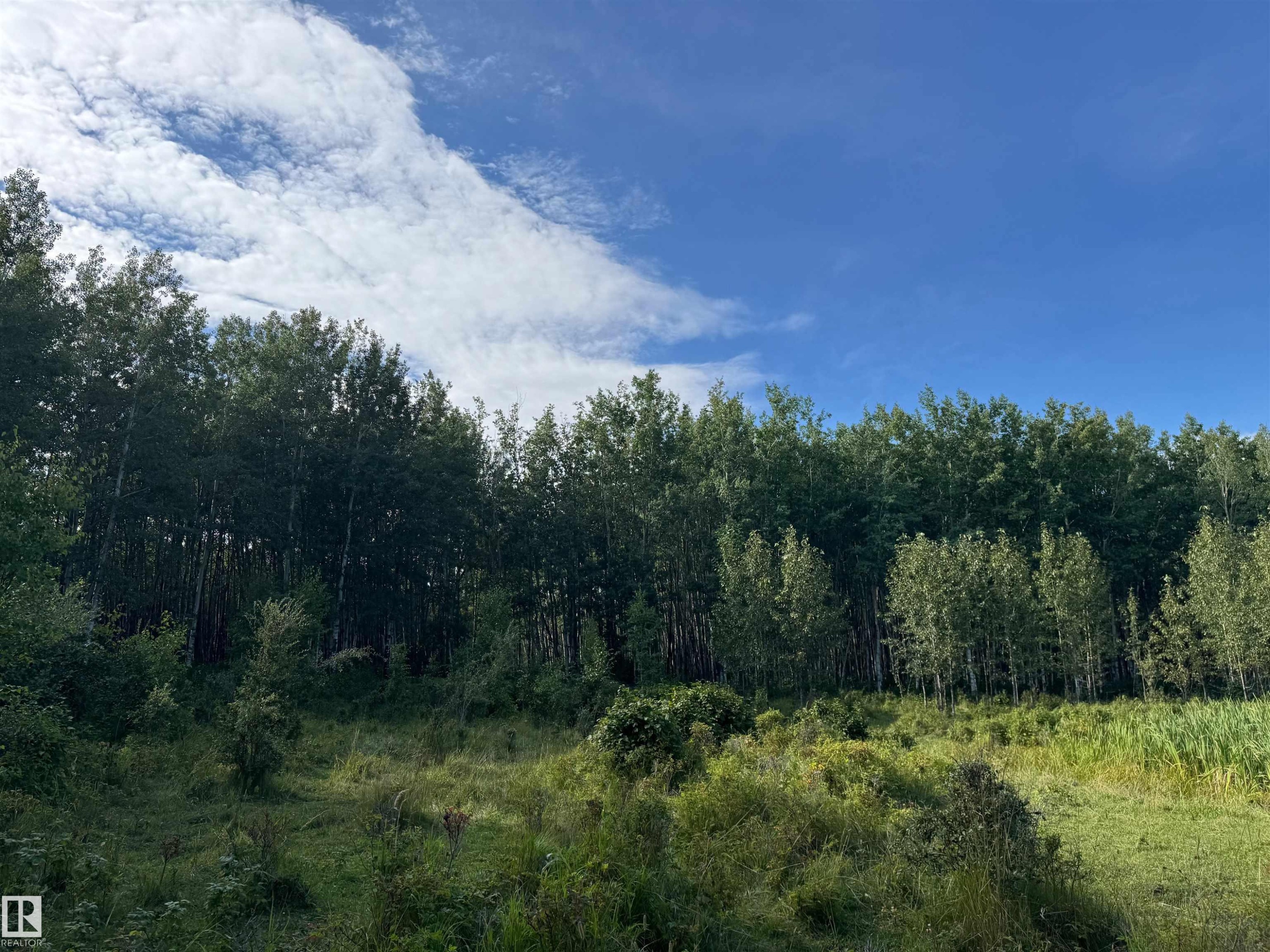 On Twp Rd 505, Rural Brazeau County, AB