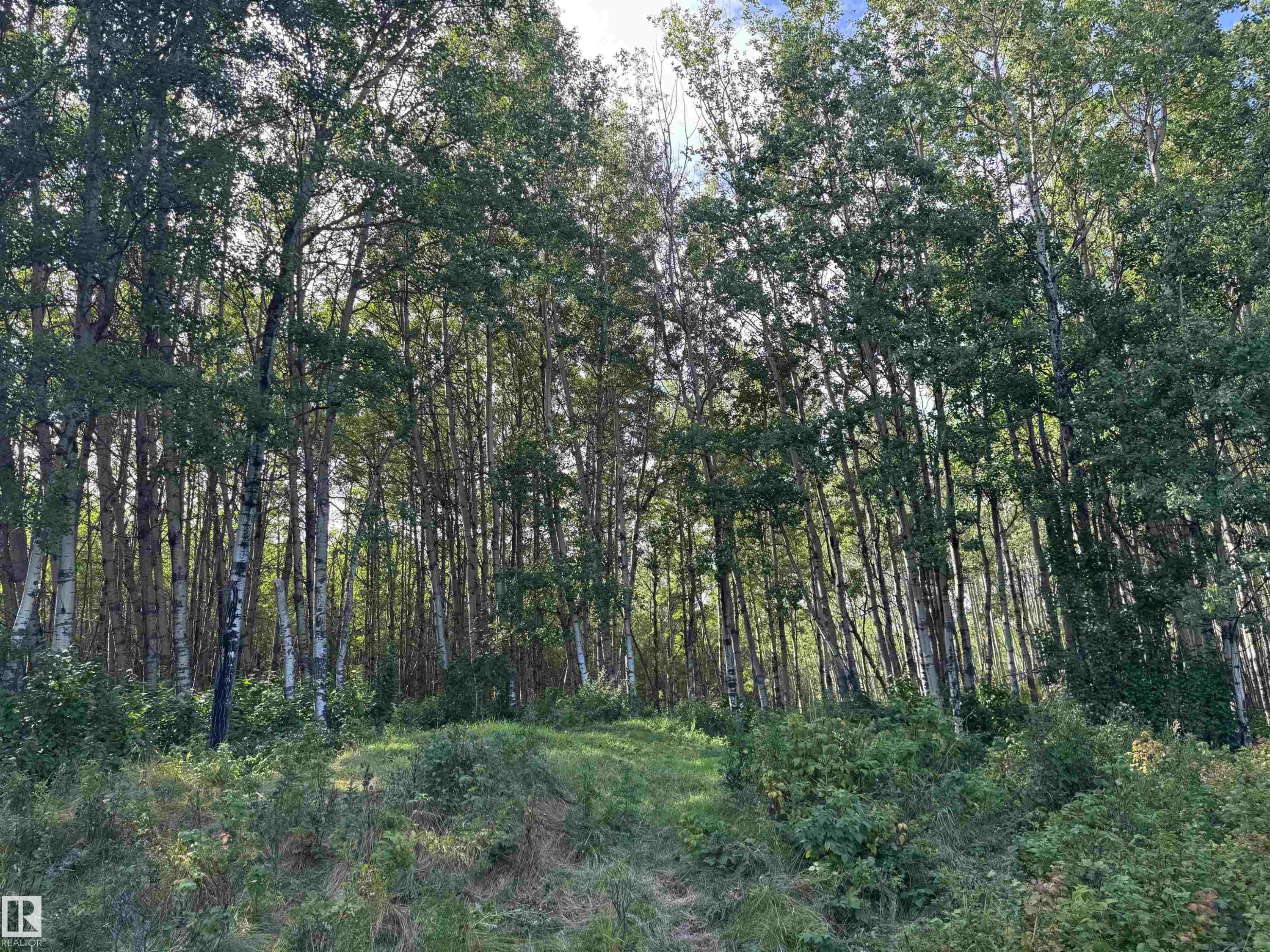 On Twp Rd 505, Rural Brazeau County, AB