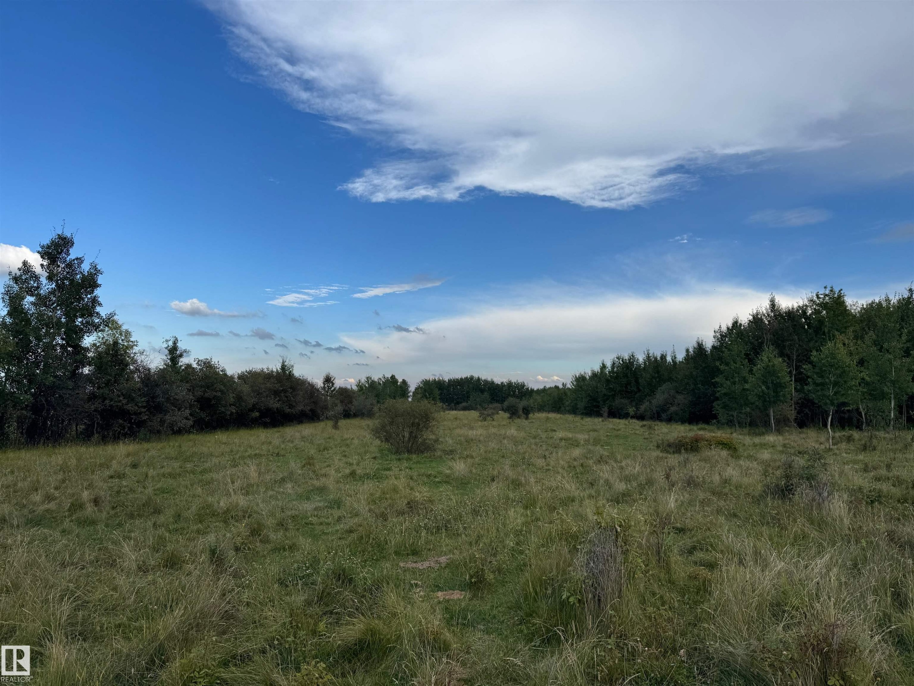 On Twp Rd 505, Rural Brazeau County, AB