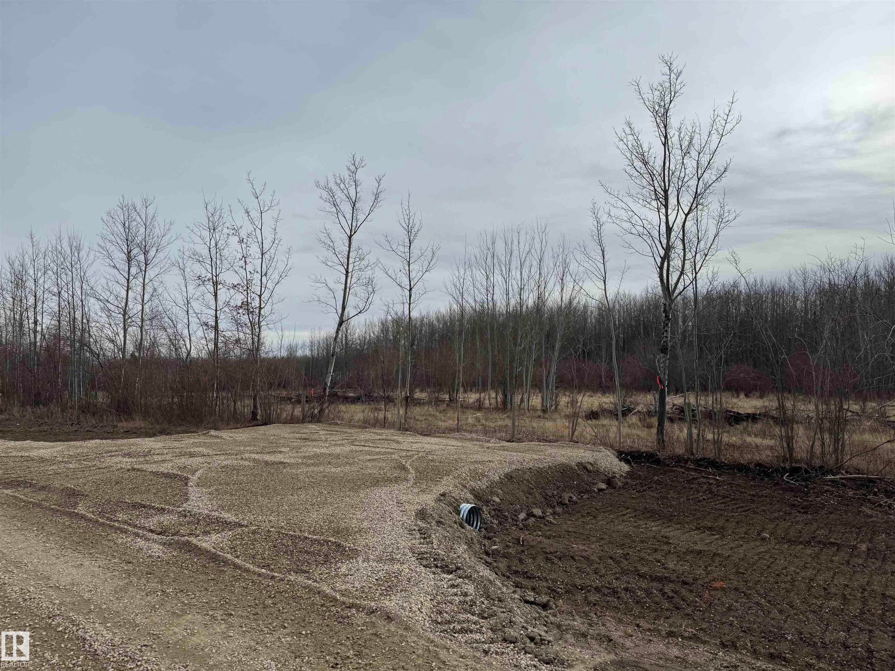 On Twp Rd 505, Rural Brazeau County, AB