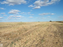 SE-2-56-12 W 4th Rural Two Hills County, AB T0B 0P0