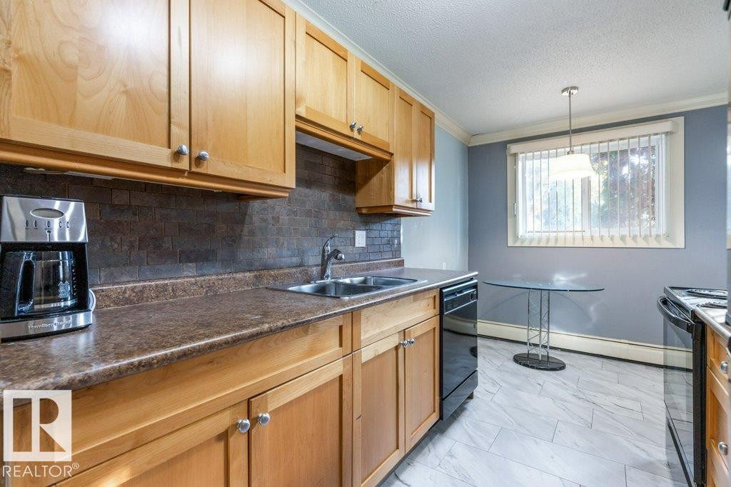 101 11916 104 Street, Edmonton, AB - Indoor Photo Showing Kitchen With Double Sink