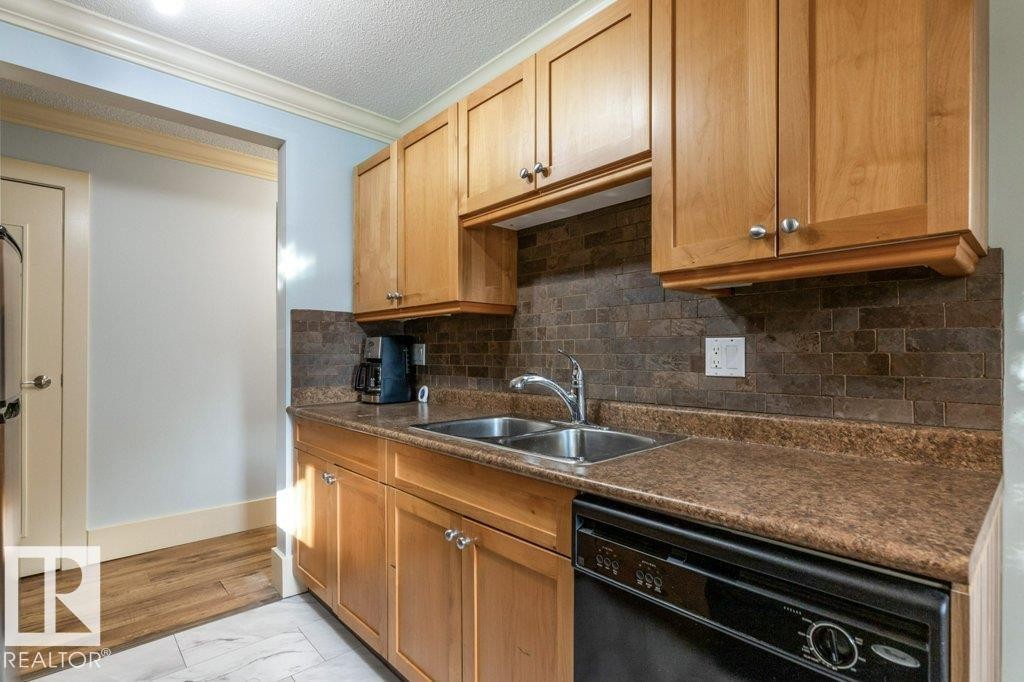 101 11916 104 Street, Edmonton, AB - Indoor Photo Showing Kitchen With Double Sink