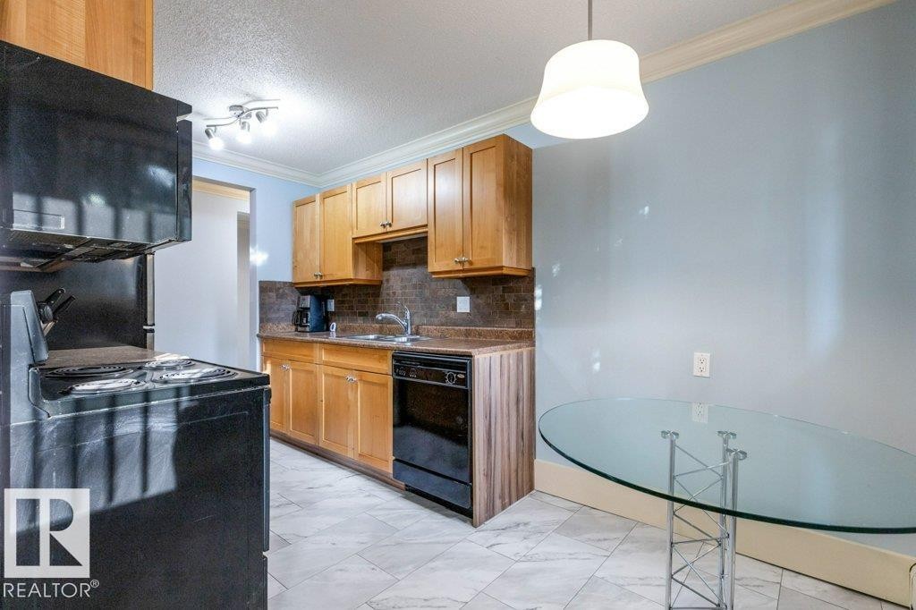 101 11916 104 Street, Edmonton, AB - Indoor Photo Showing Kitchen With Double Sink