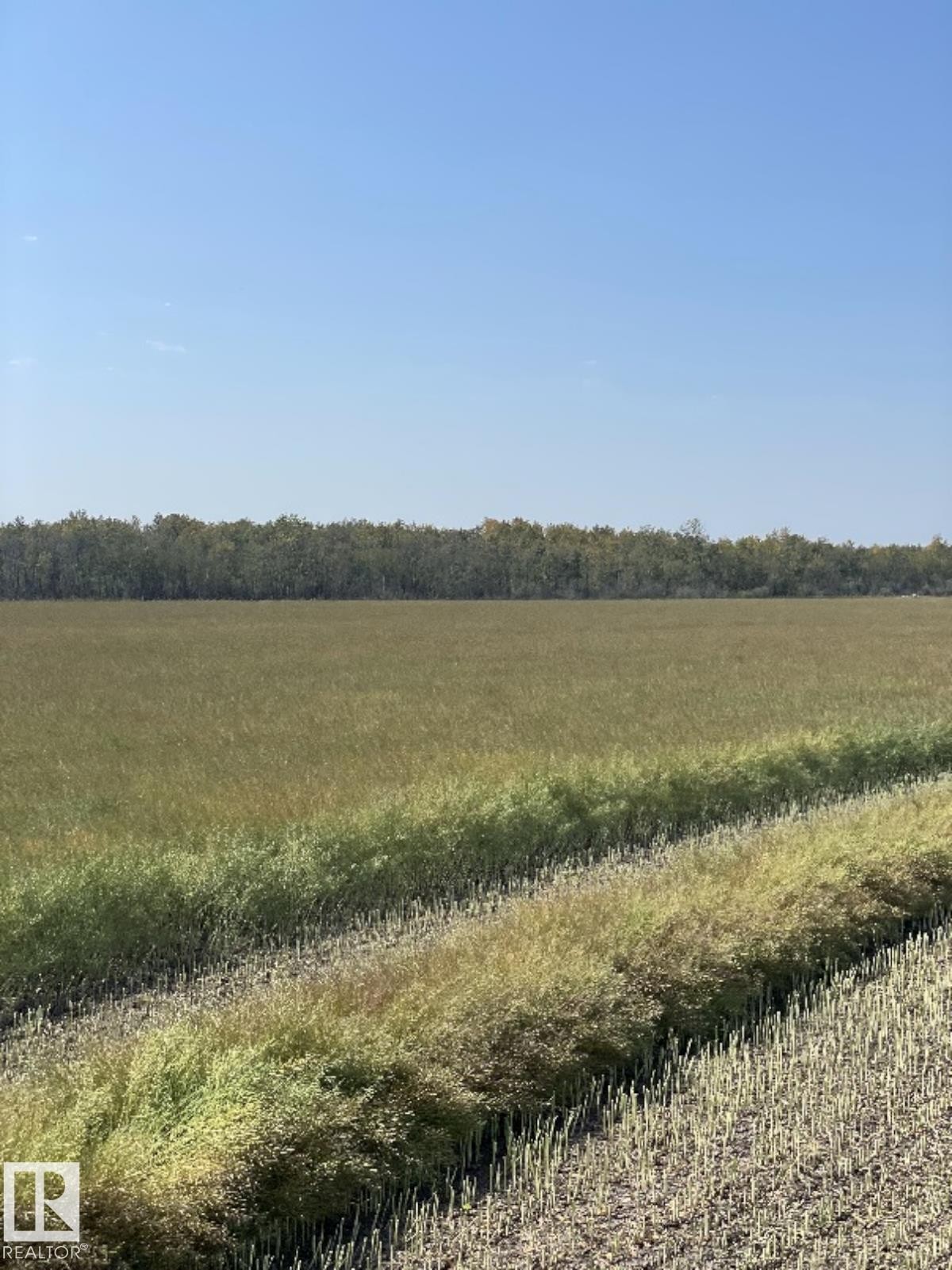 Rr 173 & Twp Rd 514, Rural Beaver County, AB