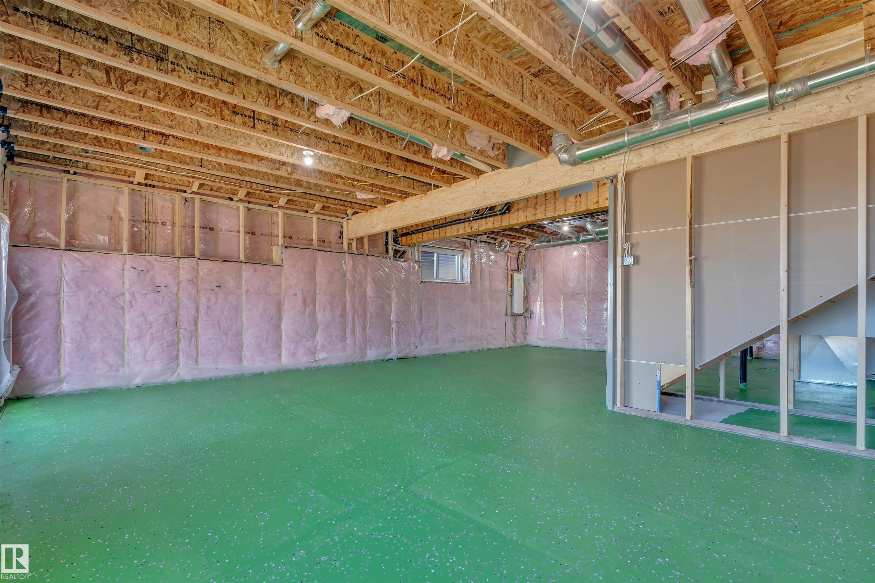 417 Pine Point(E), Leduc, AB - Indoor Photo Showing Basement