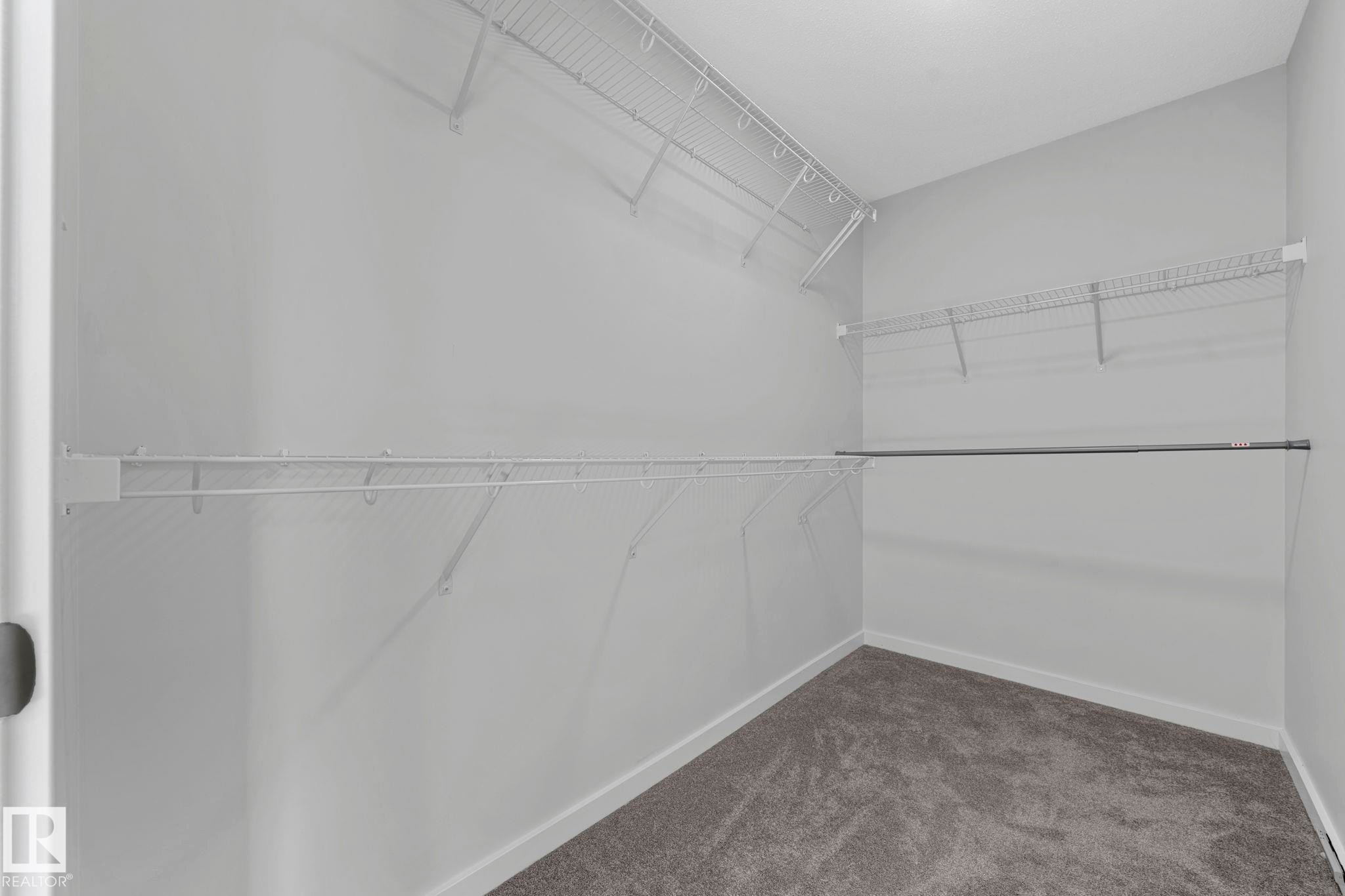 Spacious closet with dark carpet - 1813 Collip View View, Edmonton, AB - Indoor With Storage
