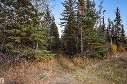 Twp Rd 625 and Hwy 63 Rural Thorhild County, AB T0A 2P0