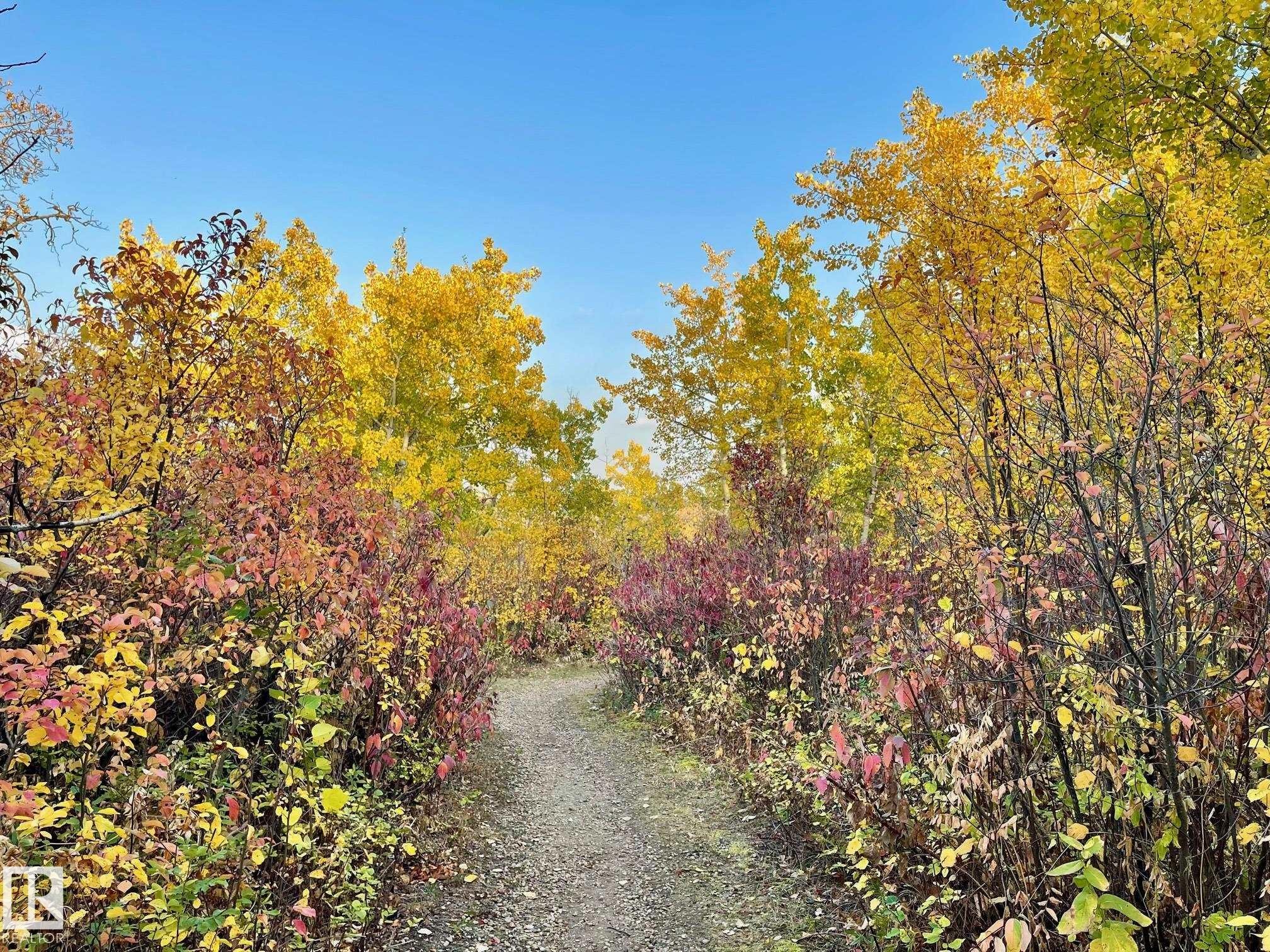 872 Hollands Landing, Edmonton, AB - Outdoor