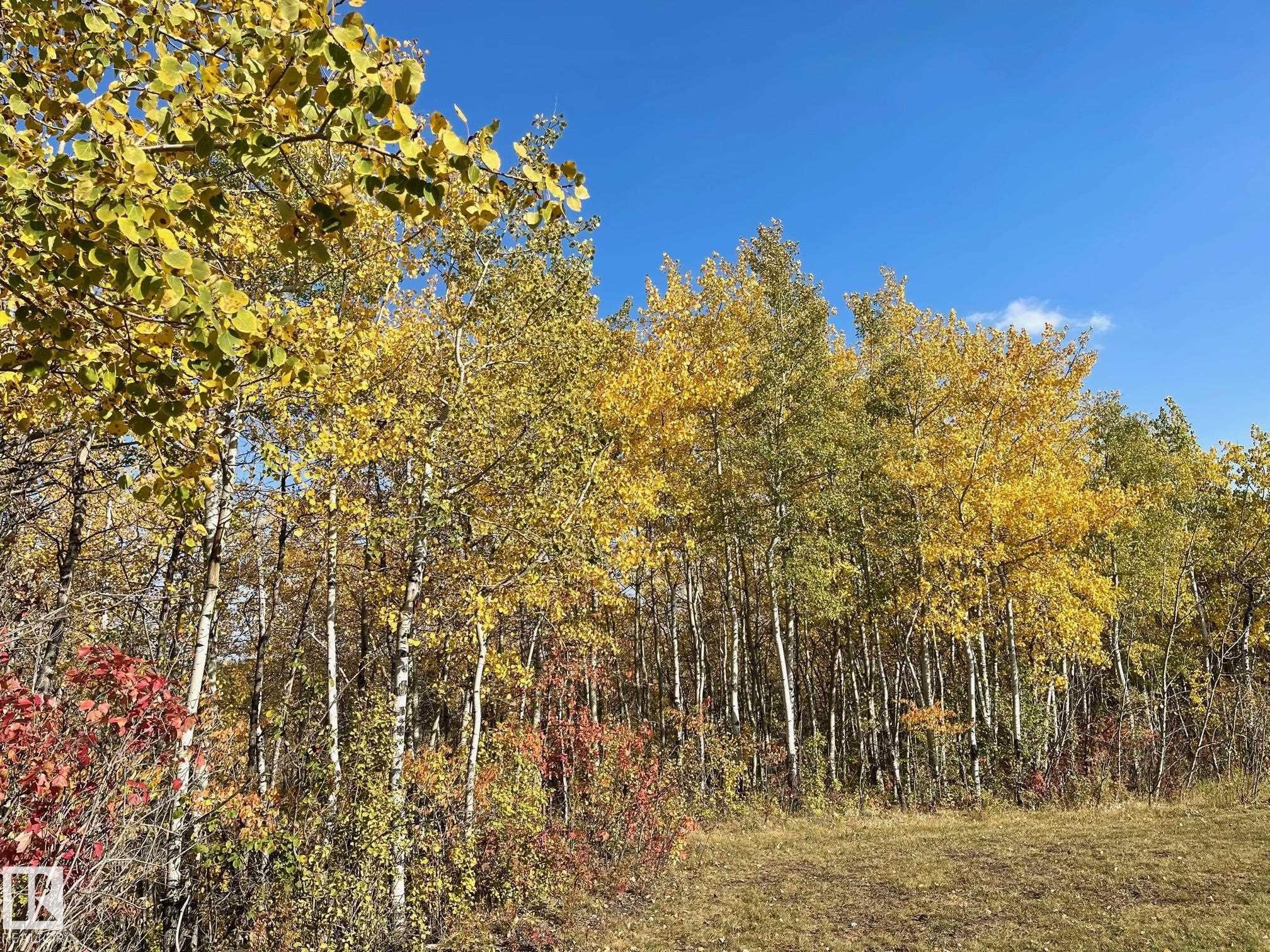 872 Hollands Landing, Edmonton, AB - Outdoor With View