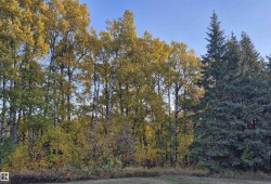 49 50322 RGE ROAD 10 Rural Parkland County, AB T7Y 2A1