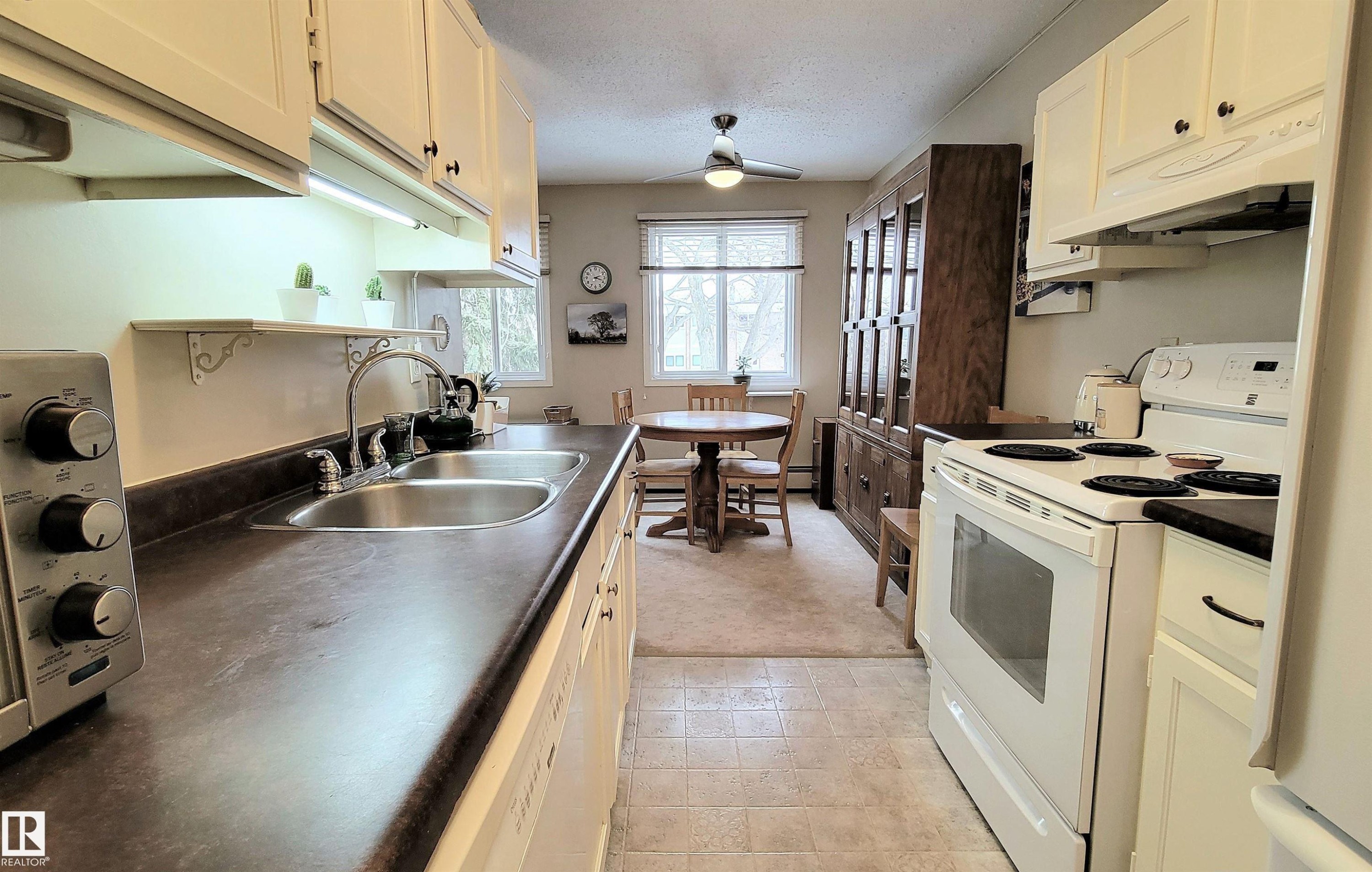 206 10826 113 Street, Edmonton, AB - Indoor Photo Showing Kitchen With Double Sink